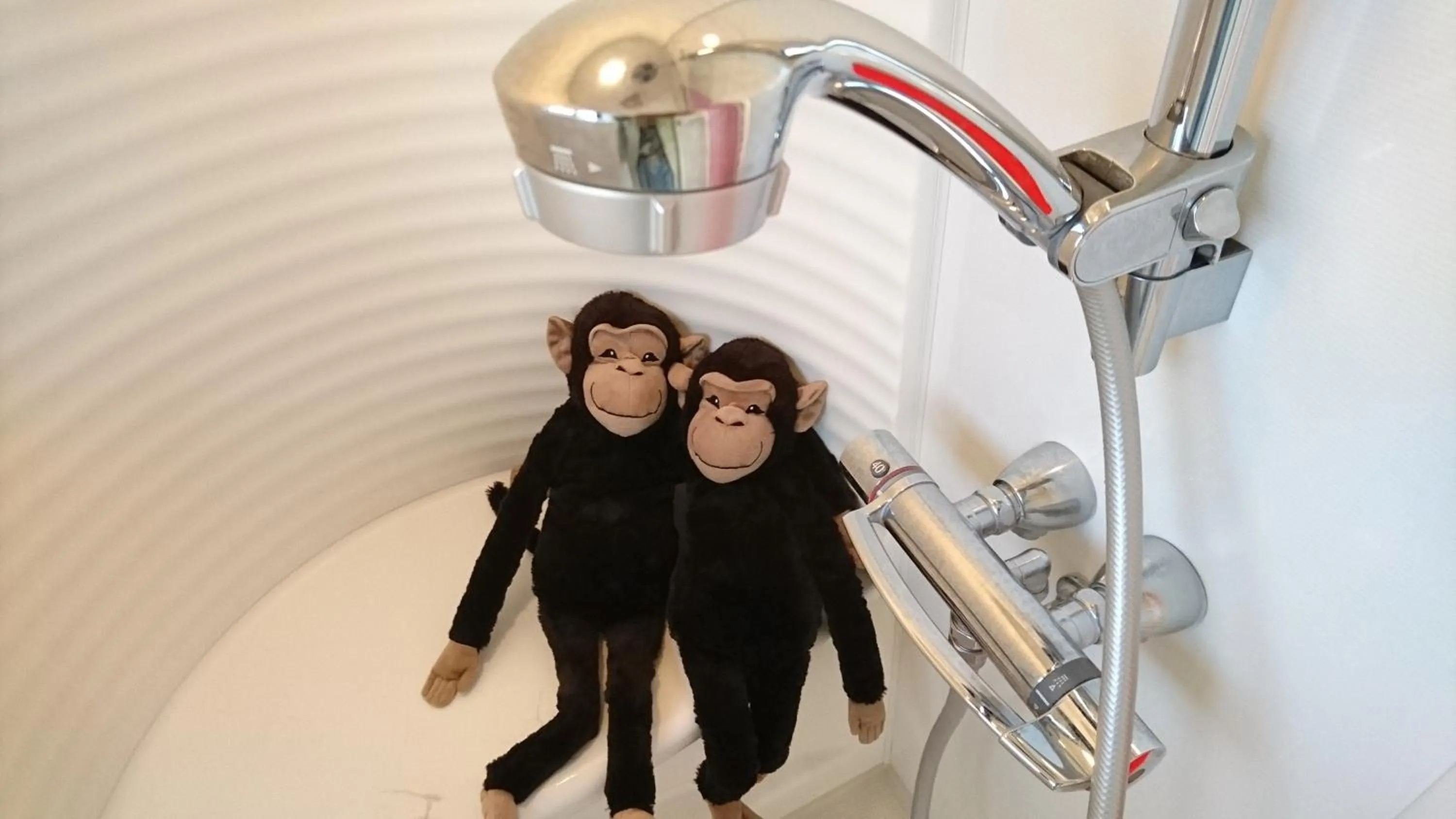 Shower in Yadoya Lodge