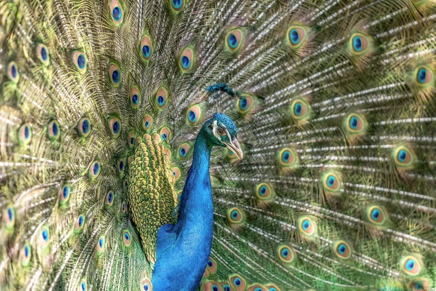 Property building in Hazlewood Castle & Spa