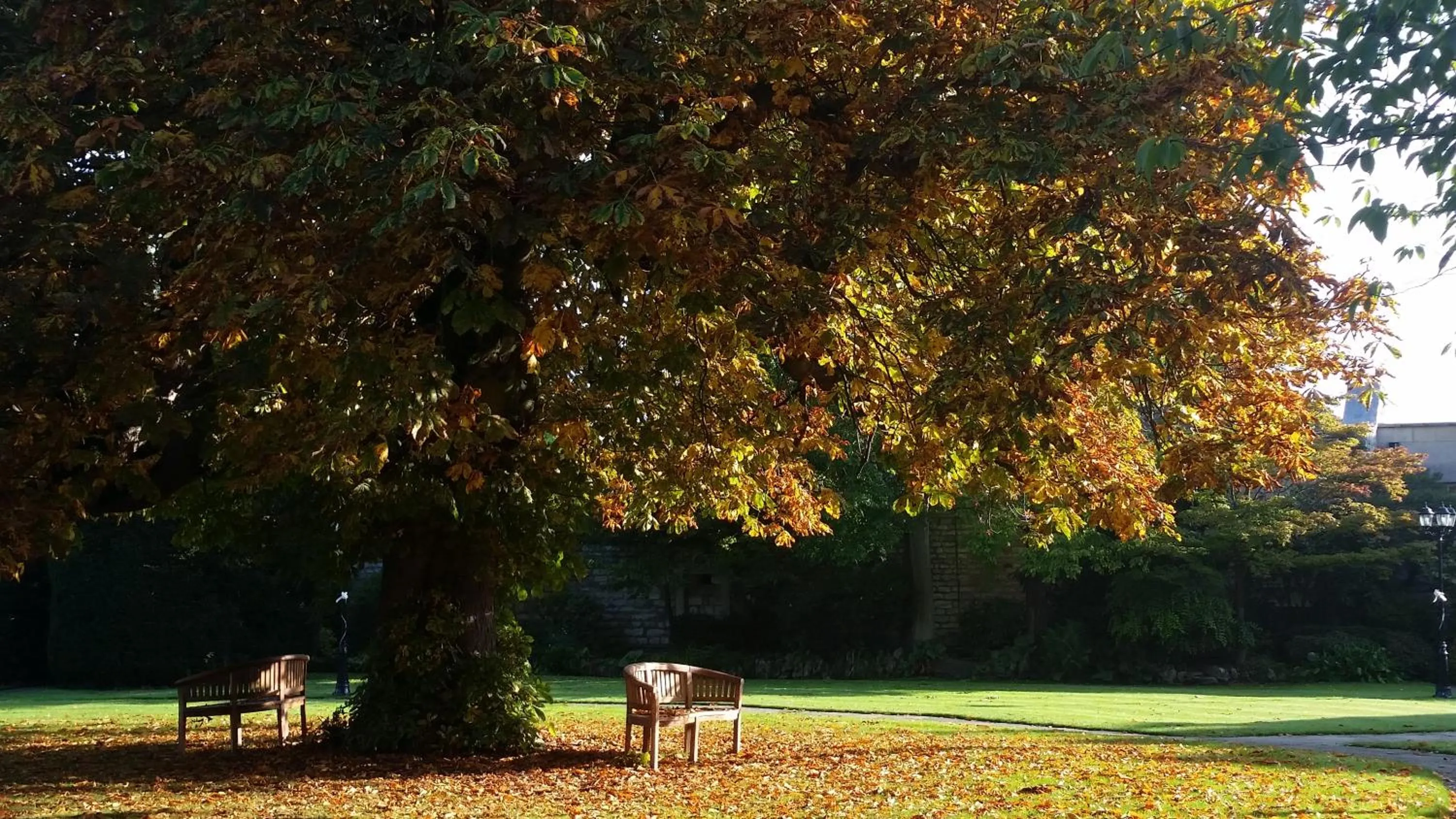 Garden in Hazlewood Castle & Spa