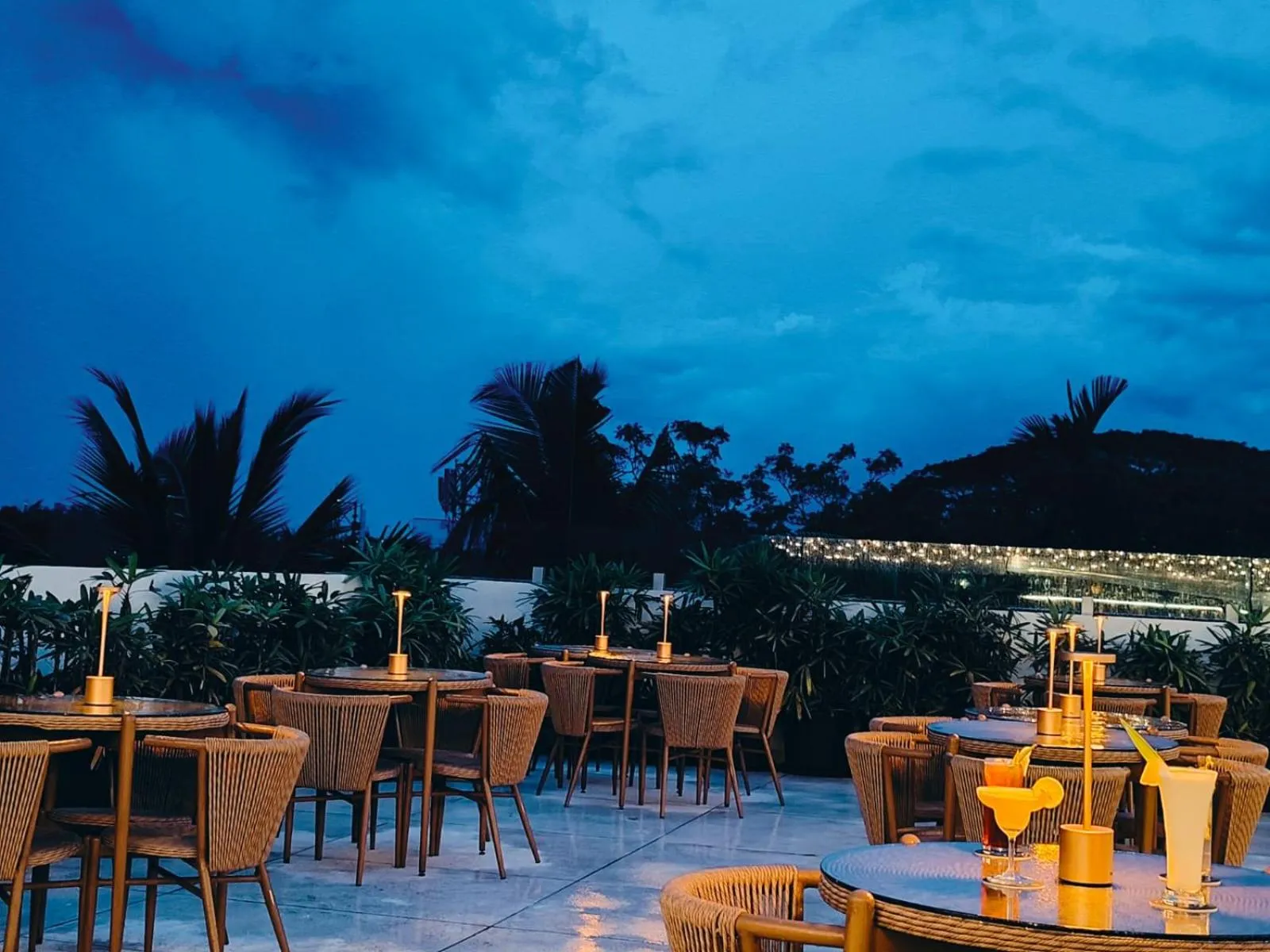 Lounge or bar in Sea Shell Coral Cove