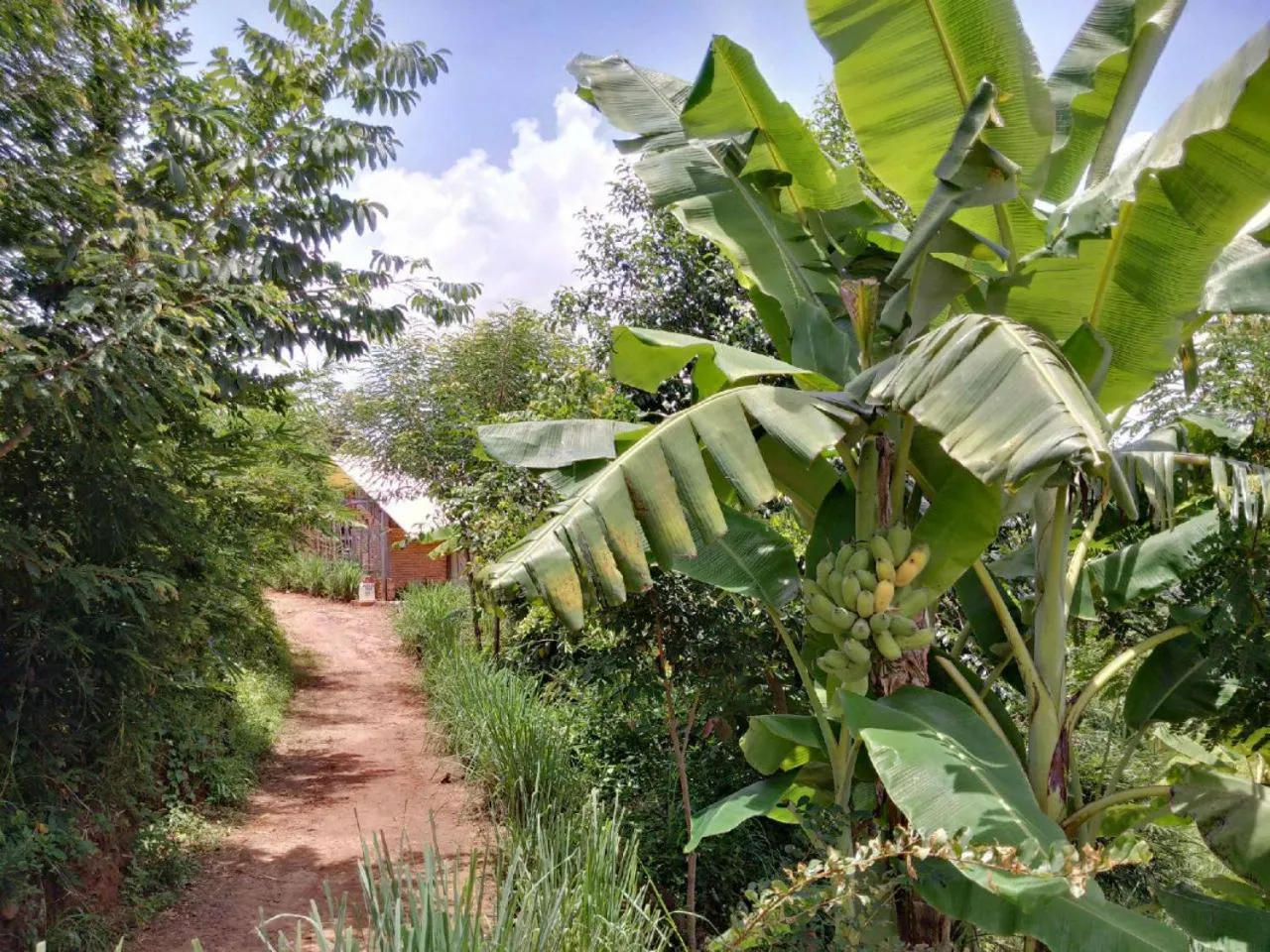 Activities in Lak Tented Camp