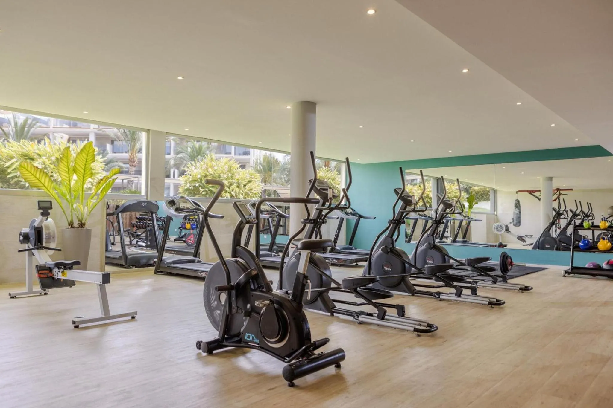 Activities in Zafiro Palace Palmanova