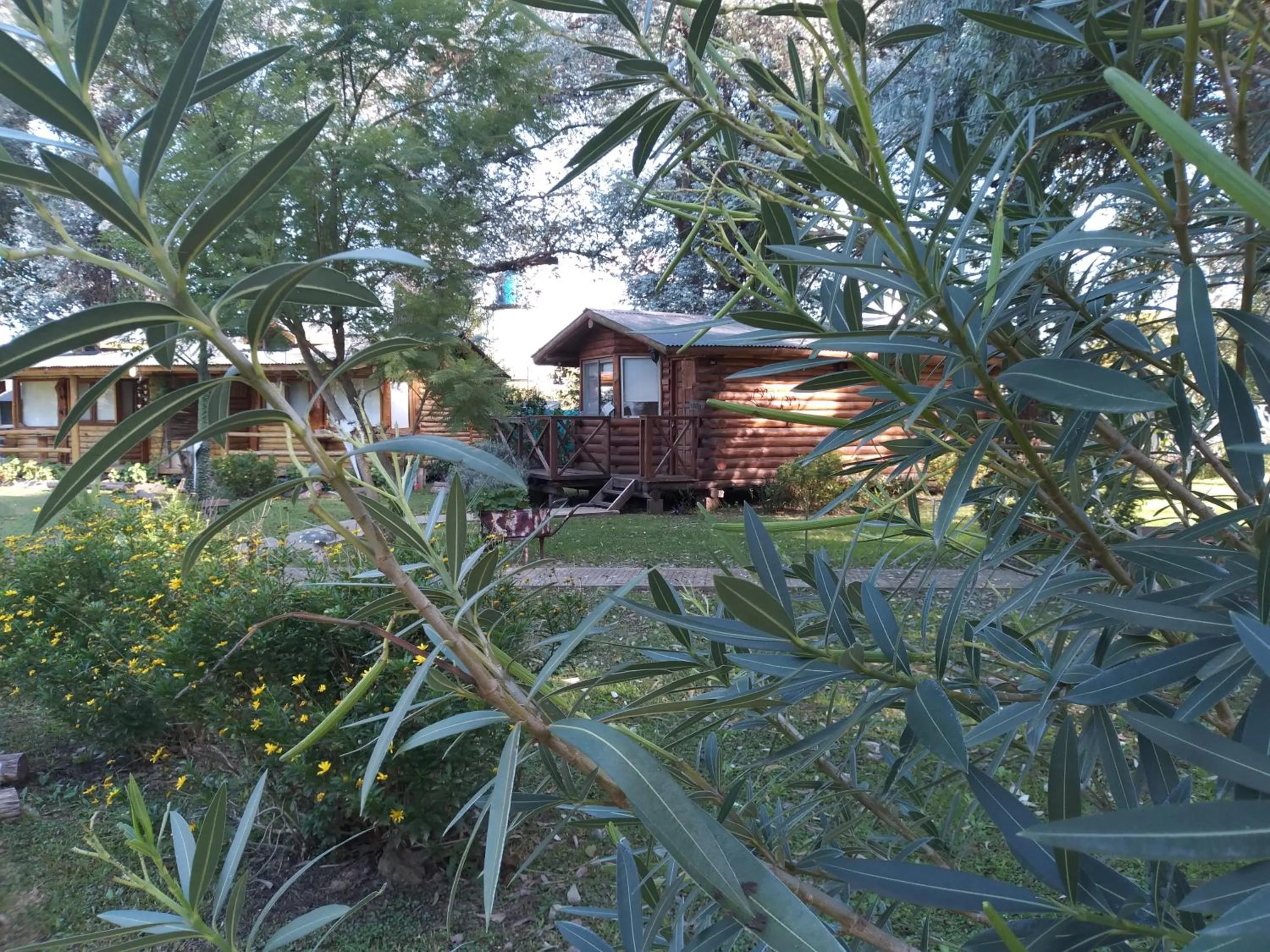 Garden in Pualy Resort & Spa