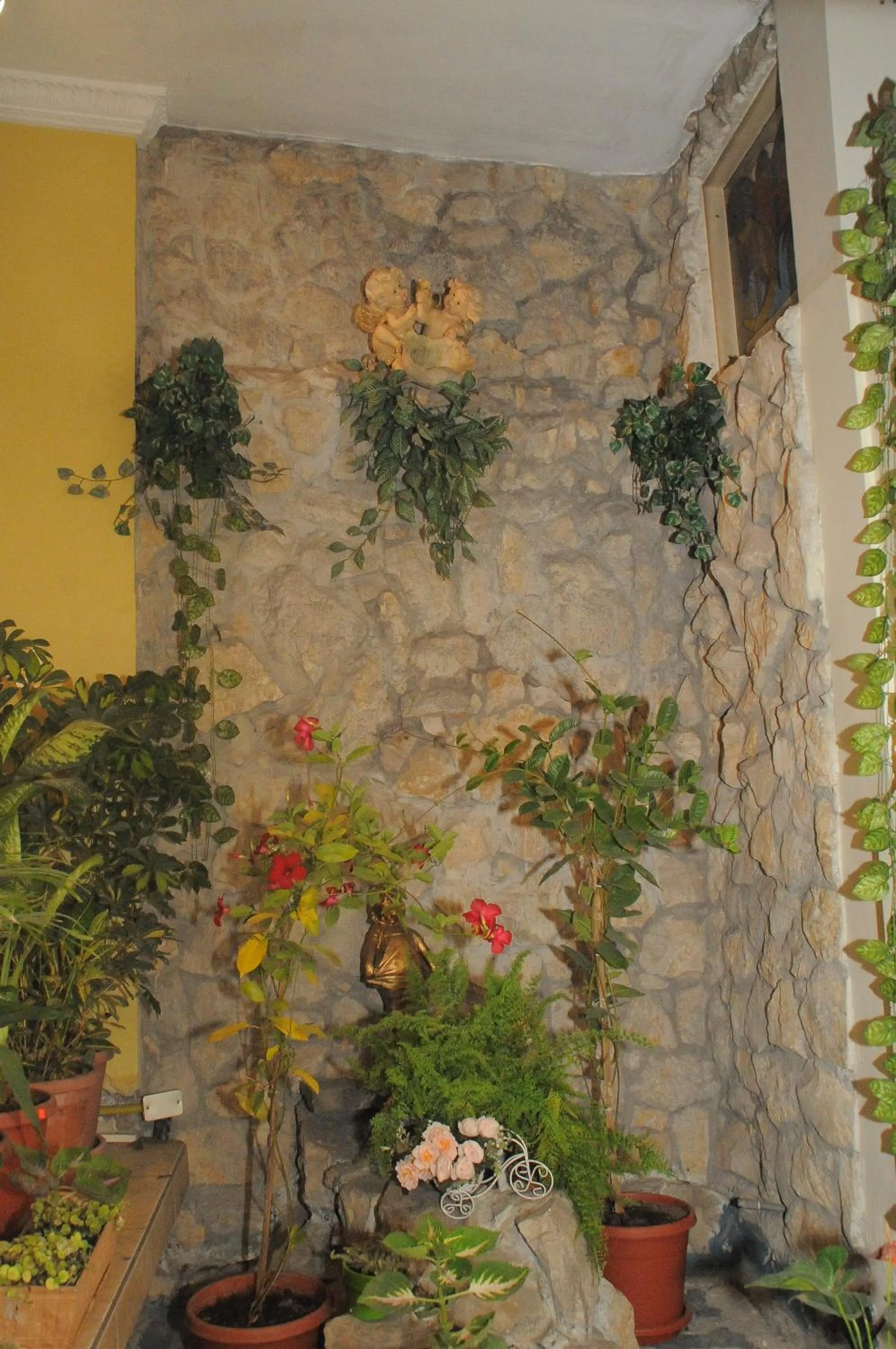 Garden view in Colony Inn Hotel