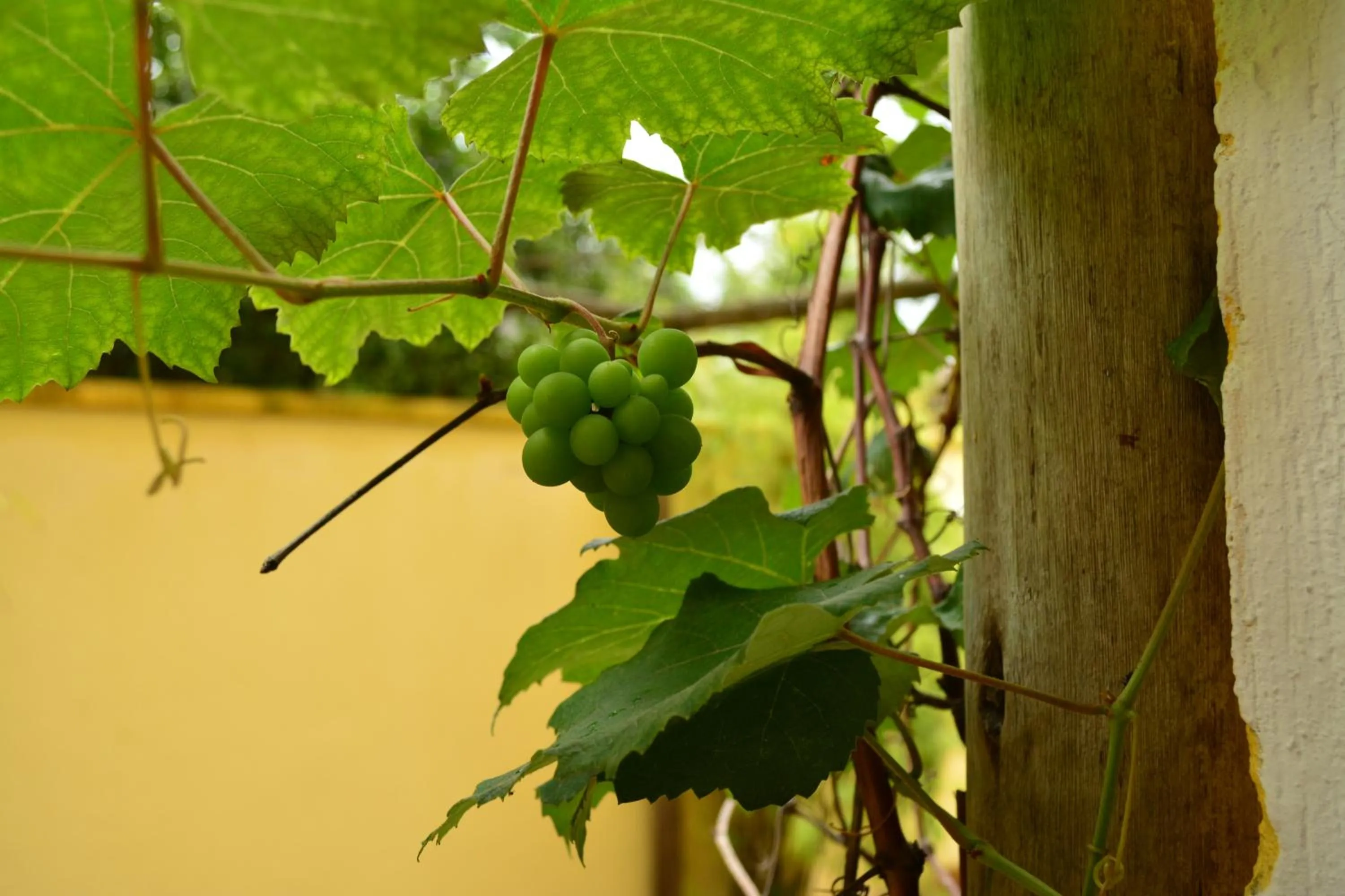 Place of worship in Apartamentos Villa Porto do Sol
