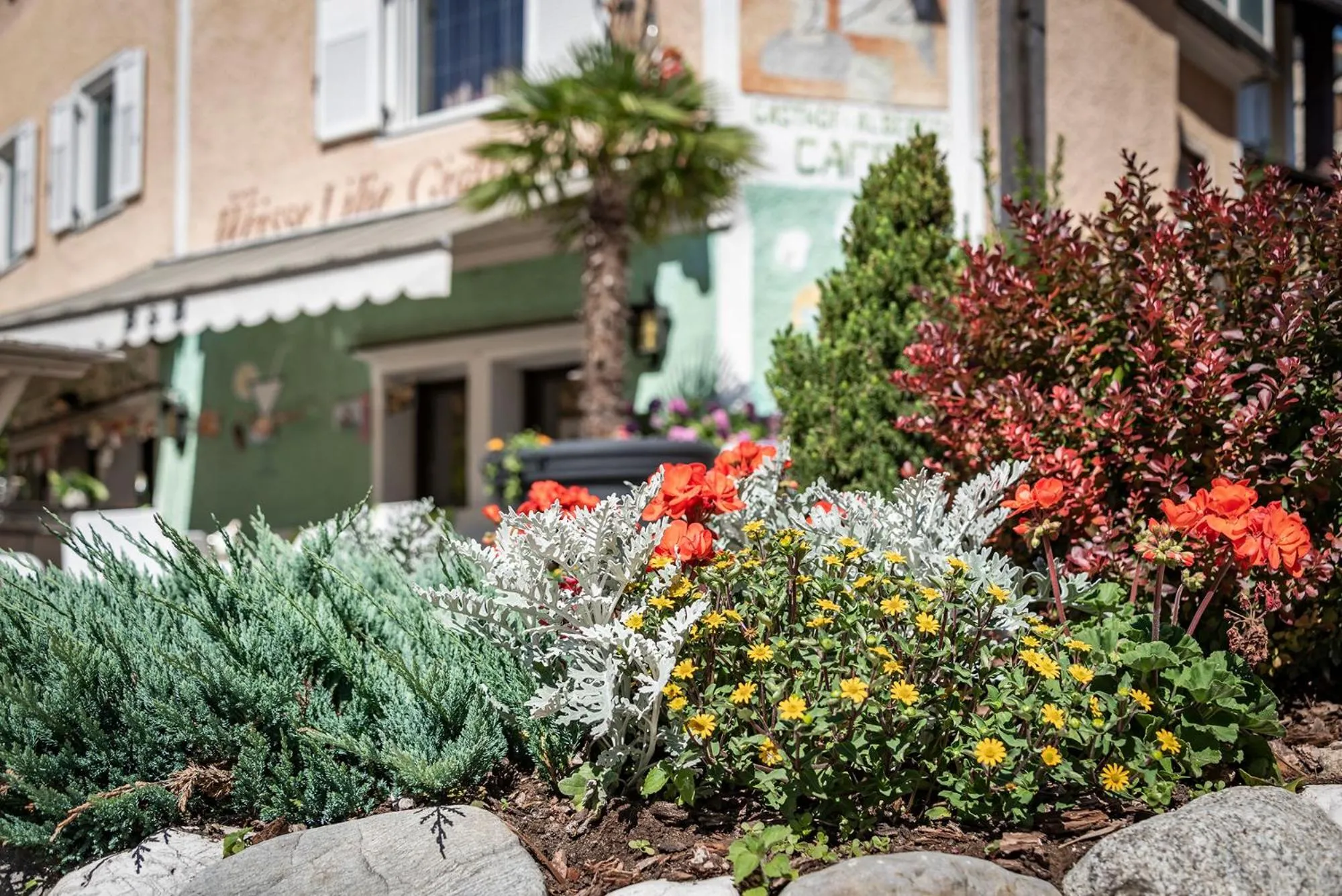 Property building in Hotel Weisse Lilie - B&B