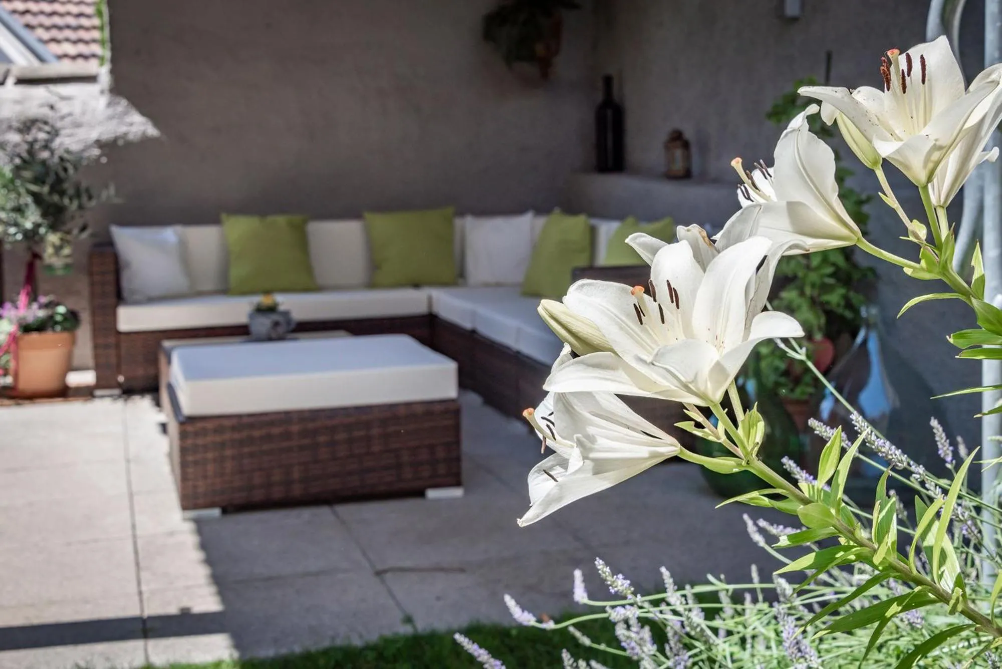 Patio in Hotel Weisse Lilie - B&B