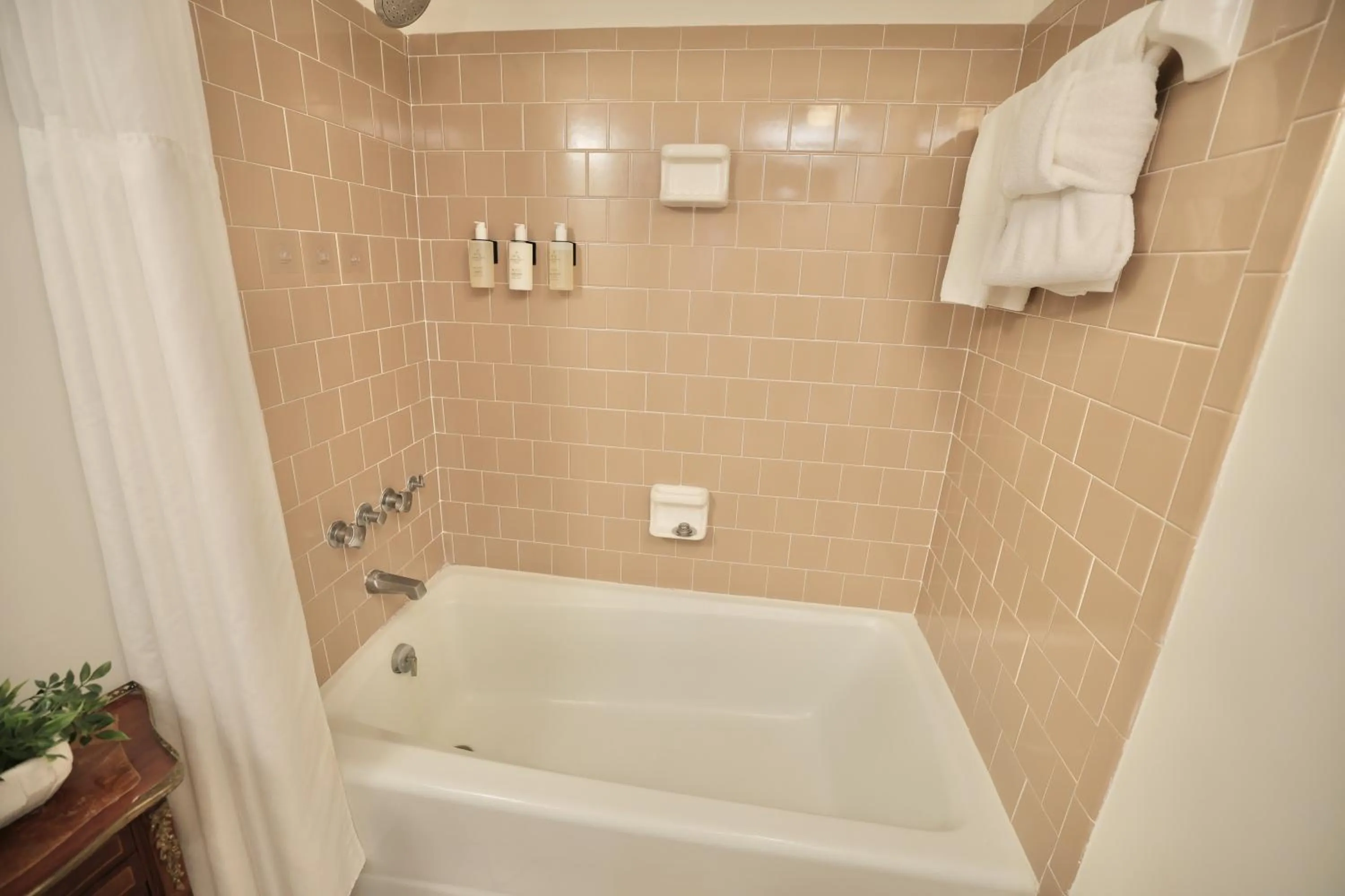 Shower in Foley House Inn