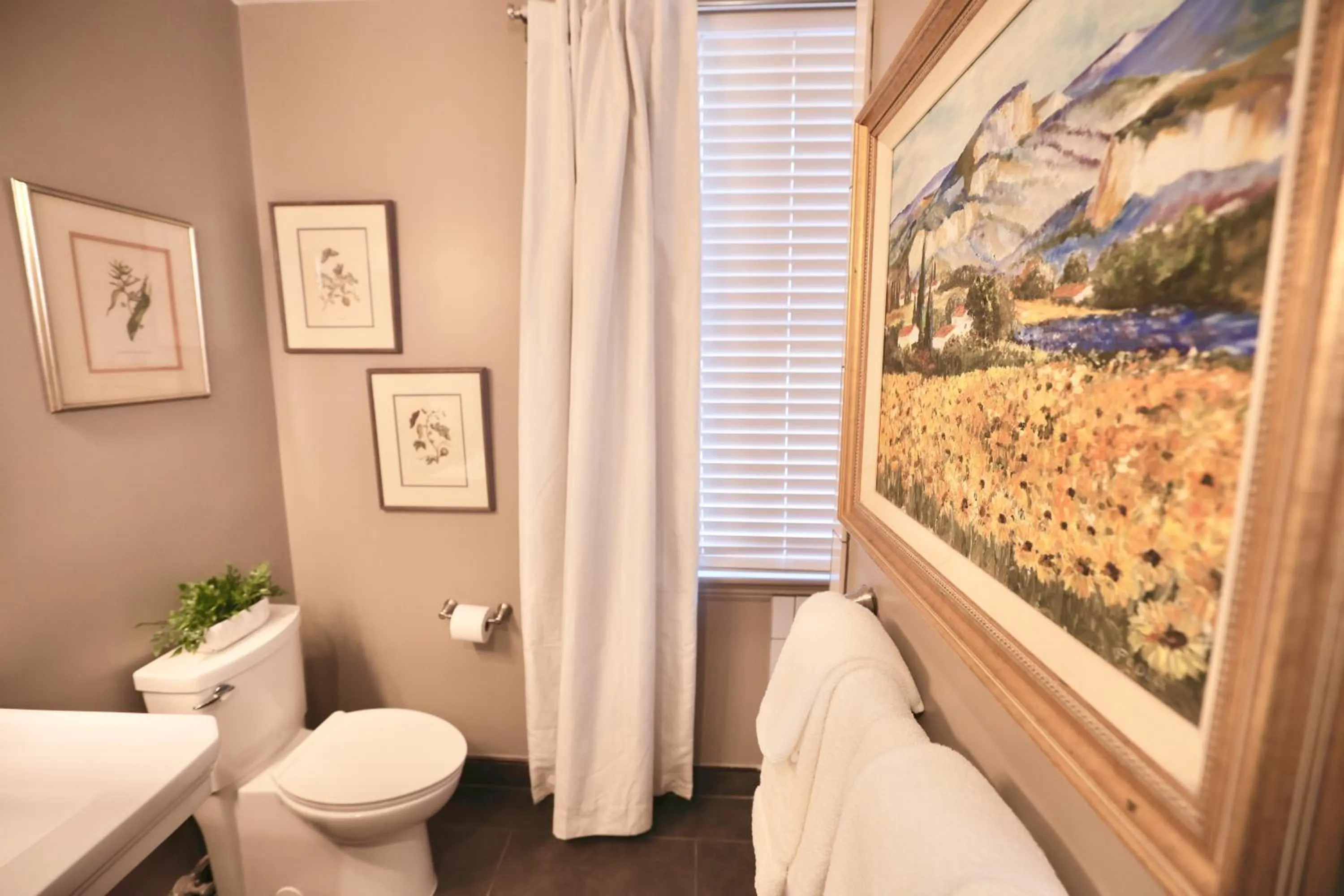 Toilet in Foley House Inn