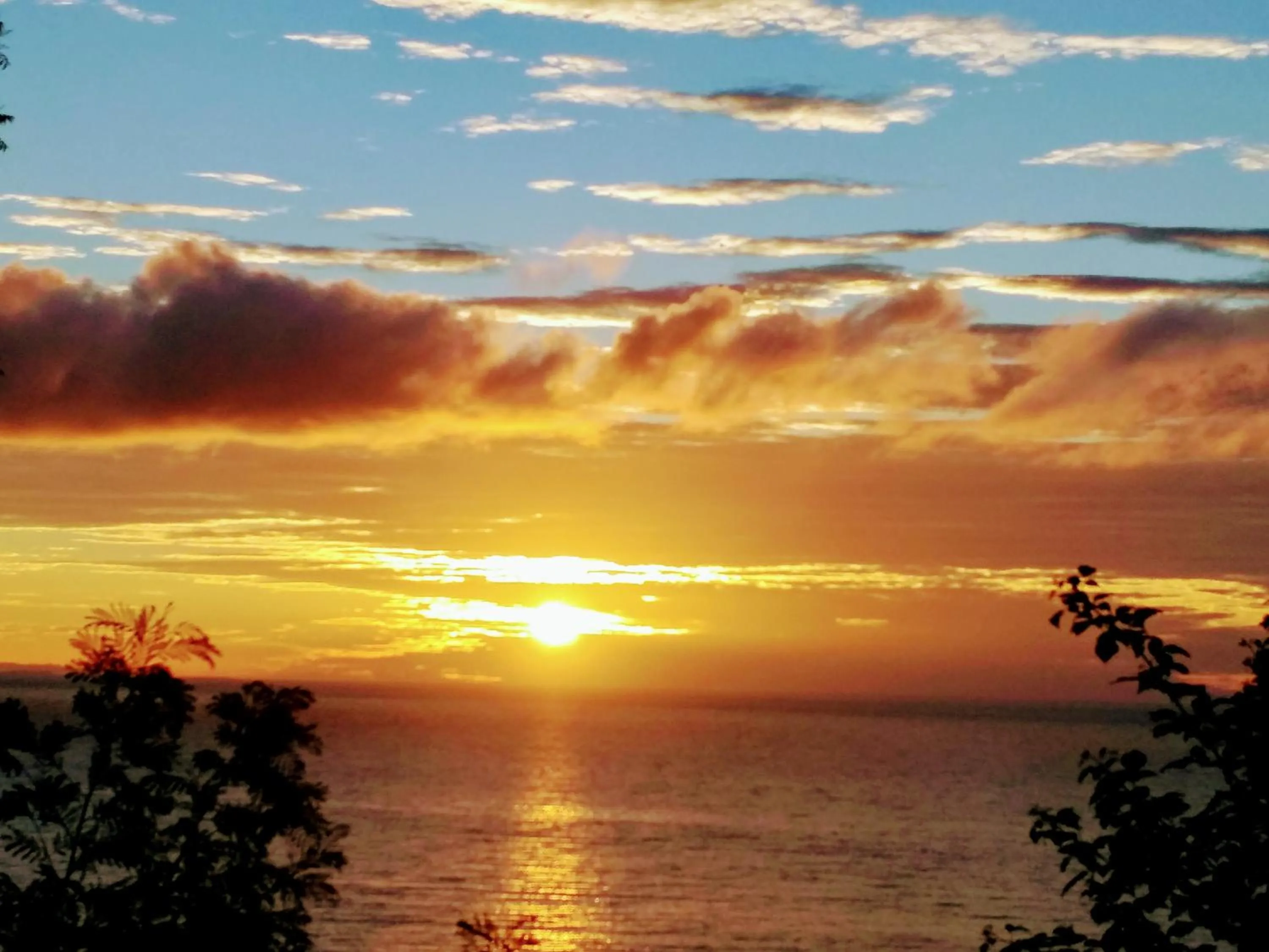 Natural landscape in Stay N Save B&B