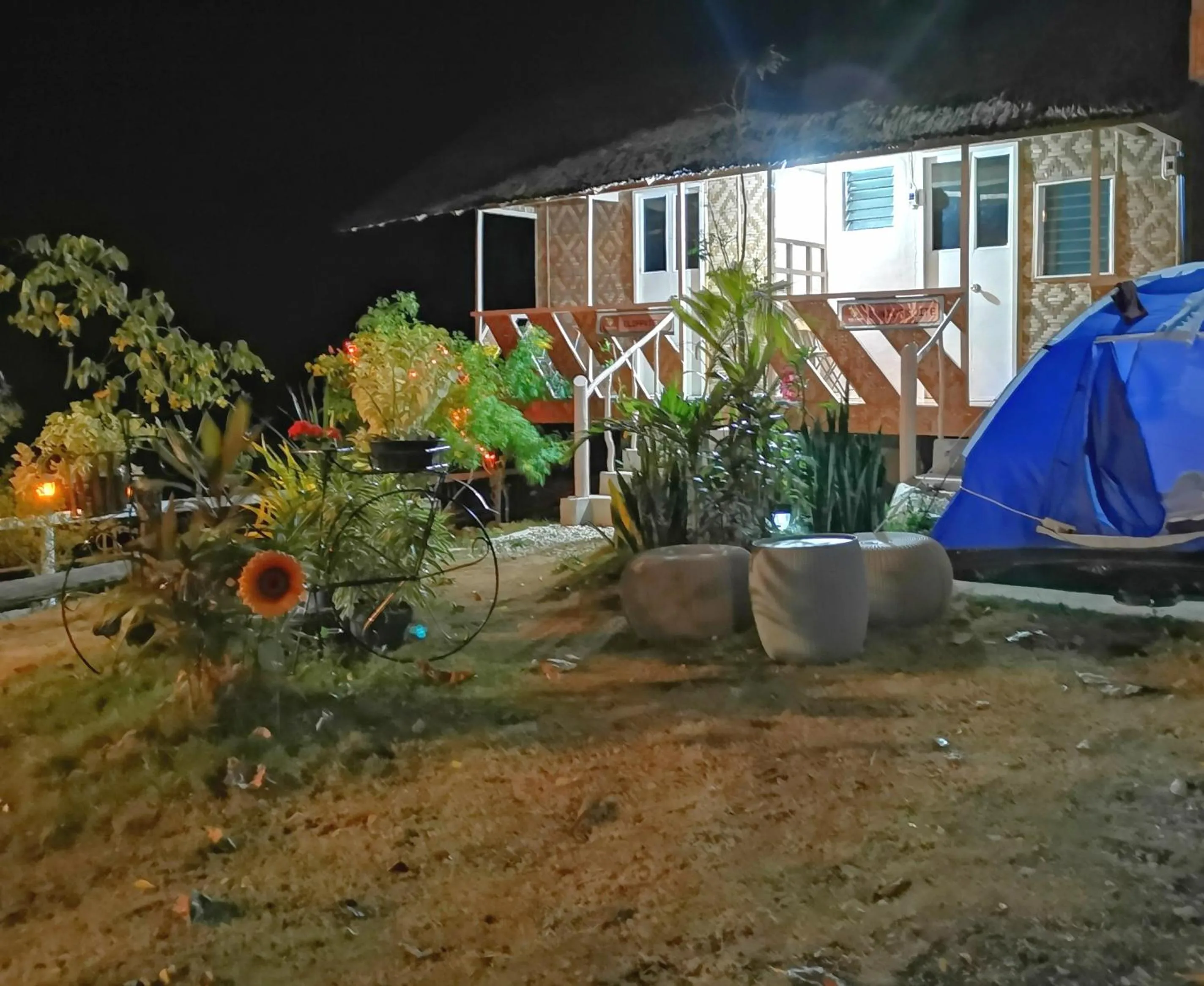 Garden in Stay N Save B&B