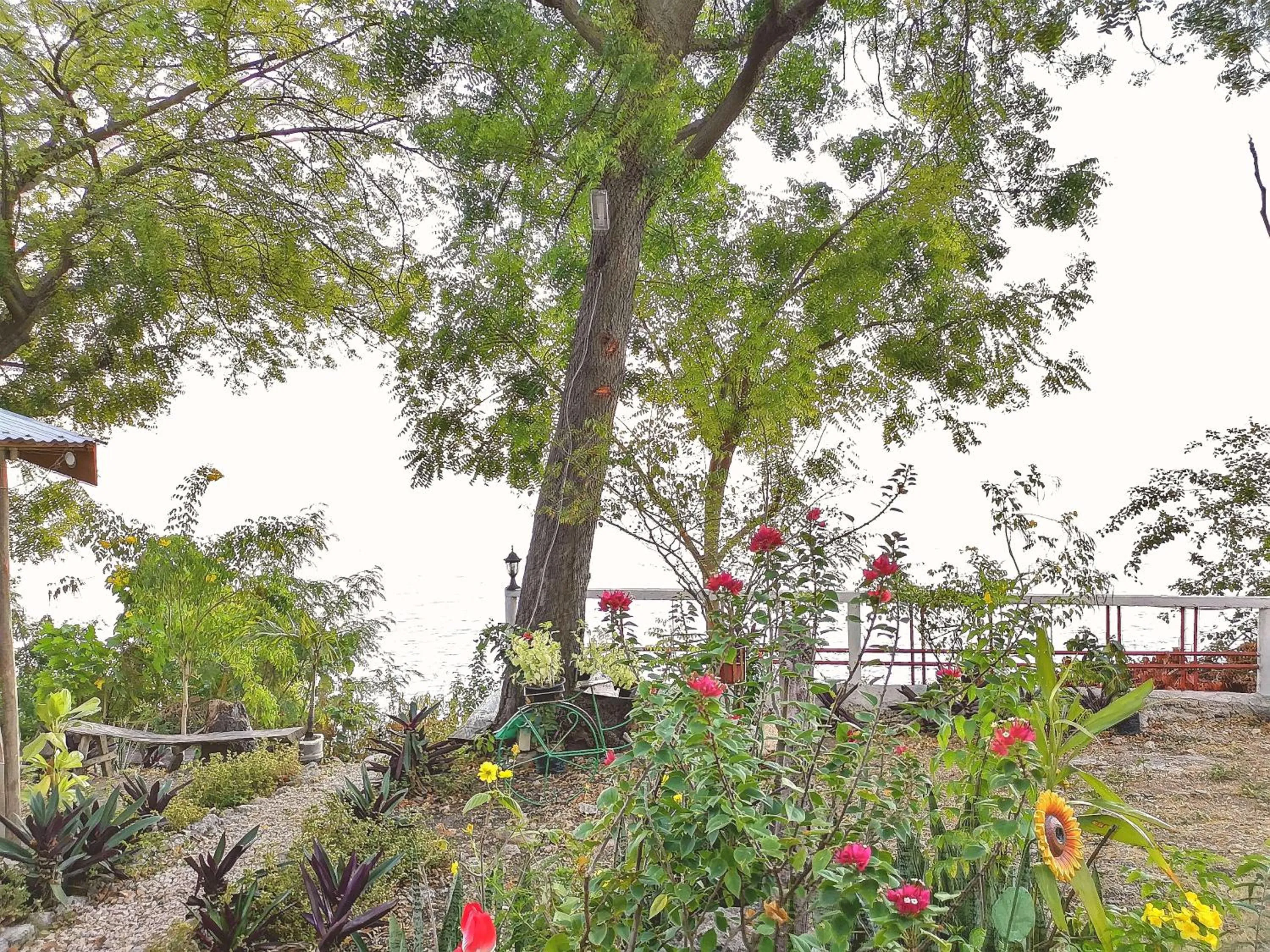 Garden in Stay N Save B&B