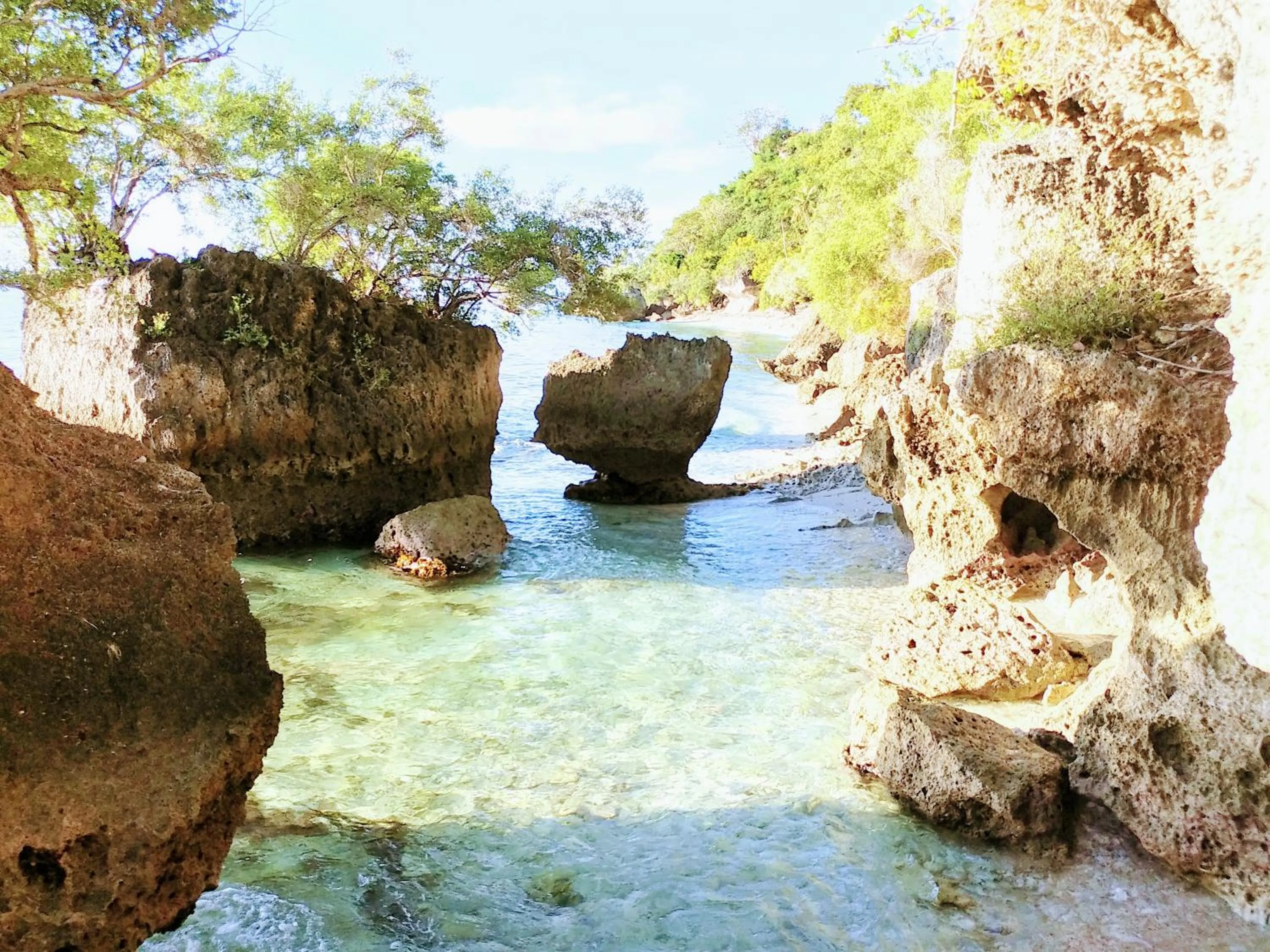 Natural landscape in Stay N Save B&B