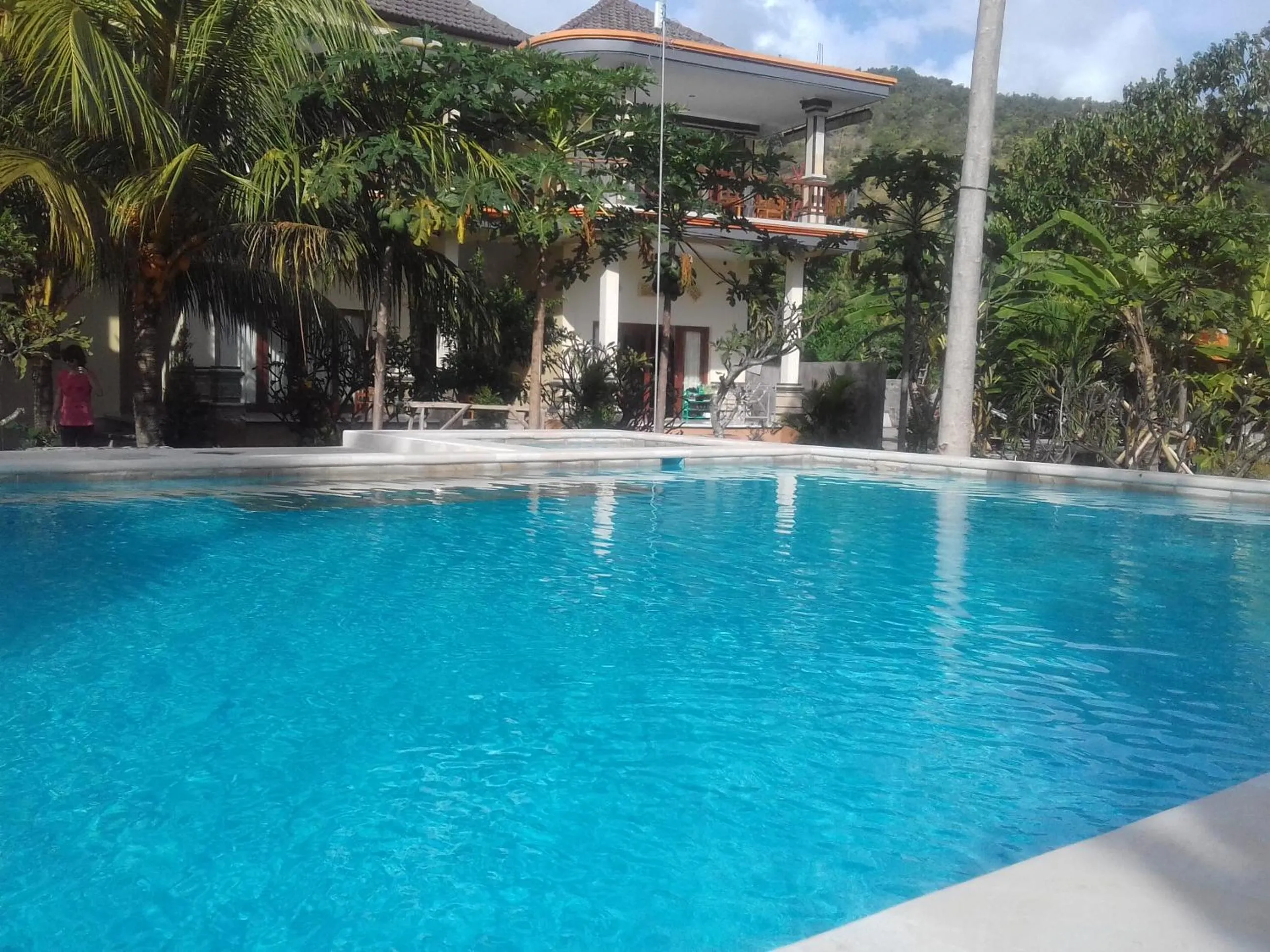Swimming pool in Taman Padi Villa