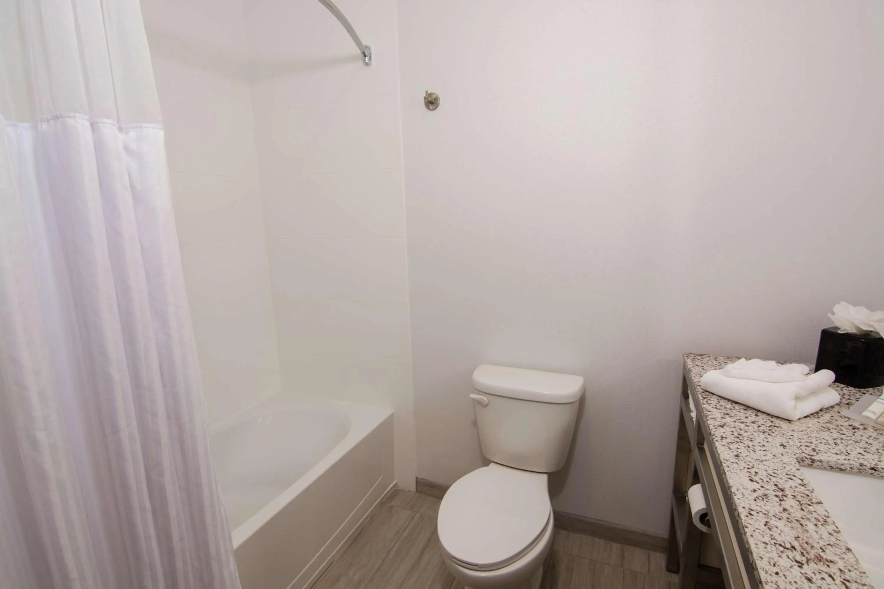 Bathroom in Hilton Garden Inn Tampa Suncoast Parkway