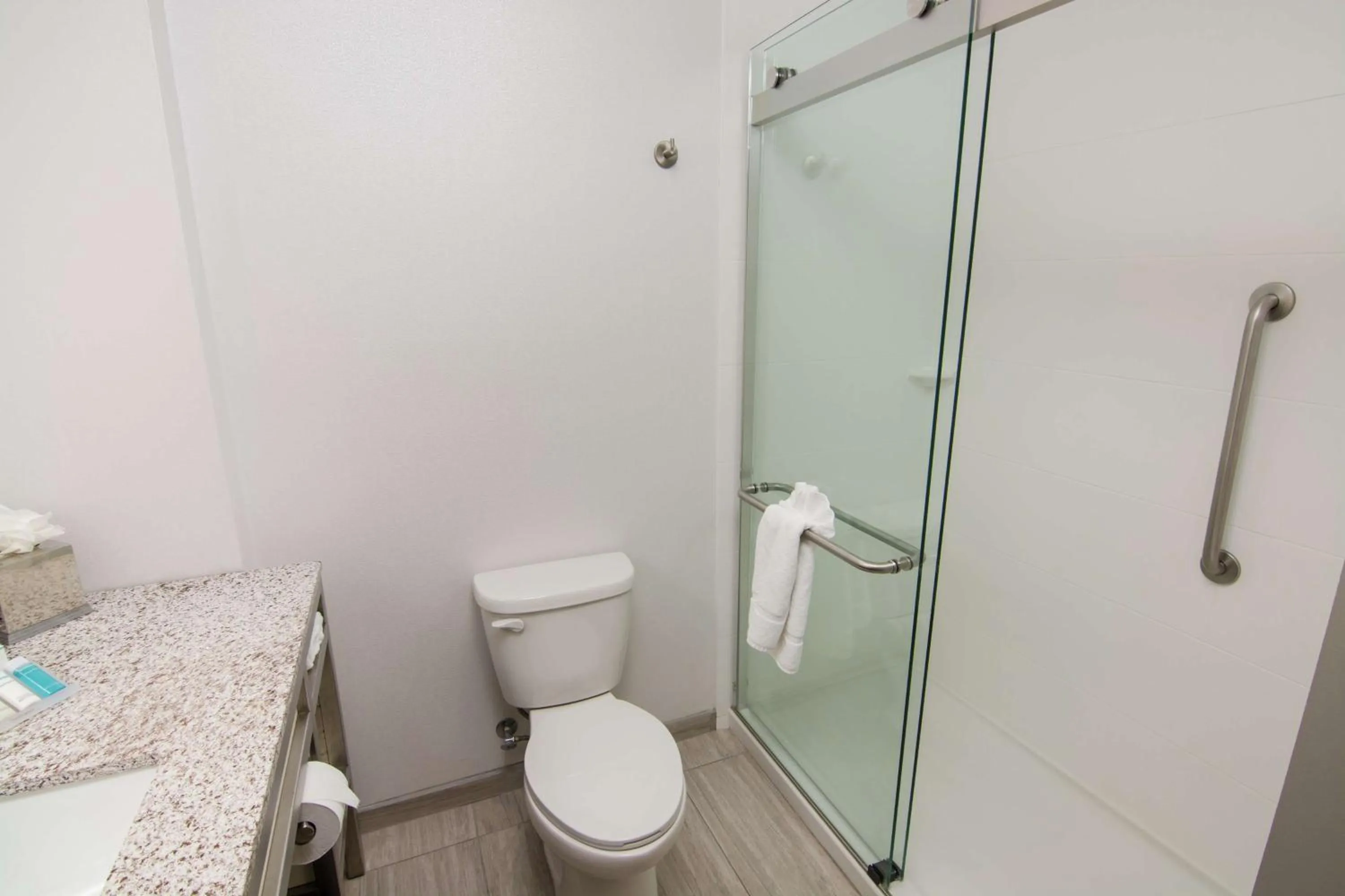 Bathroom in Hilton Garden Inn Tampa Suncoast Parkway