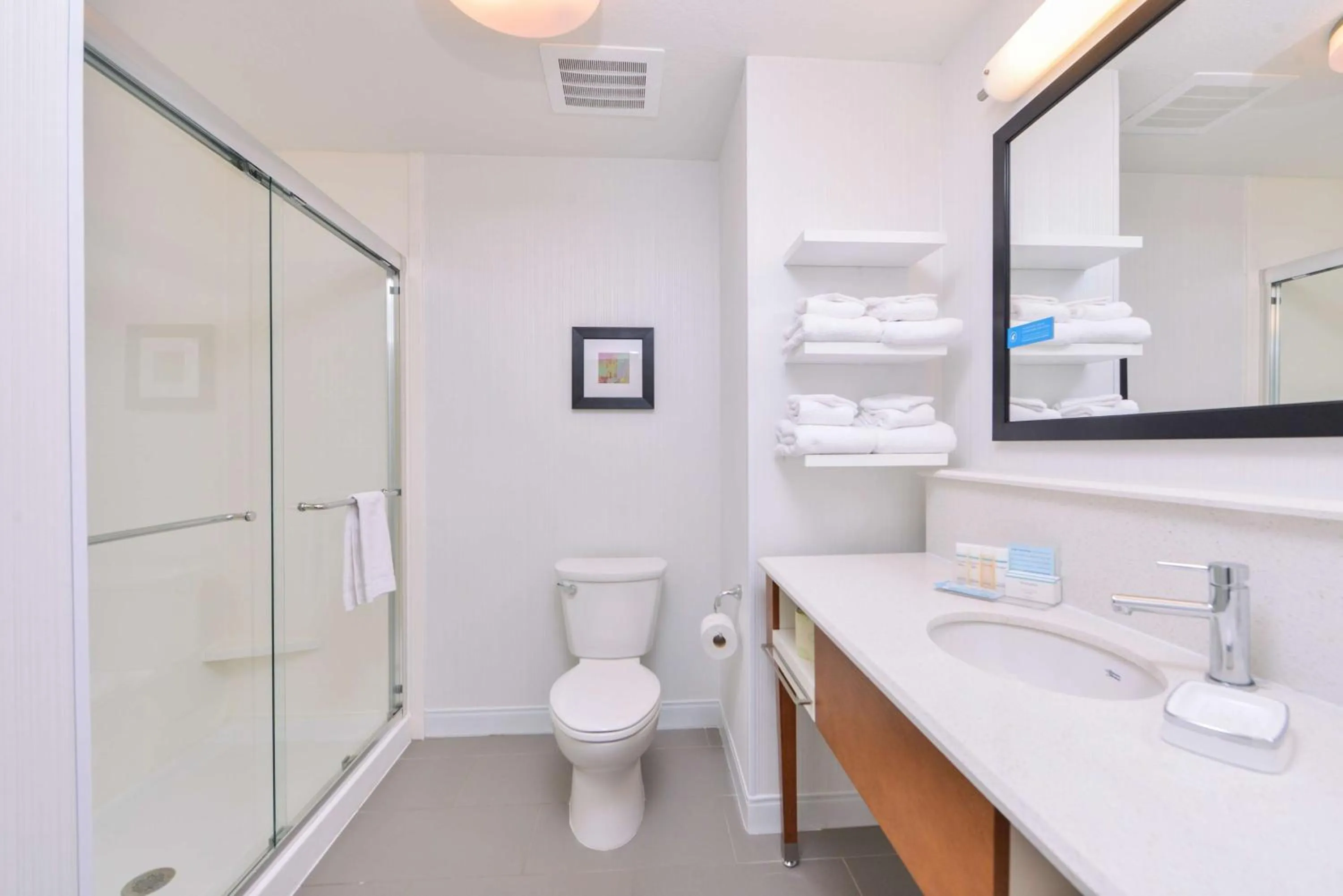 Bathroom in Hampton Inn and Suites Altoona-Des Moines by Hilton