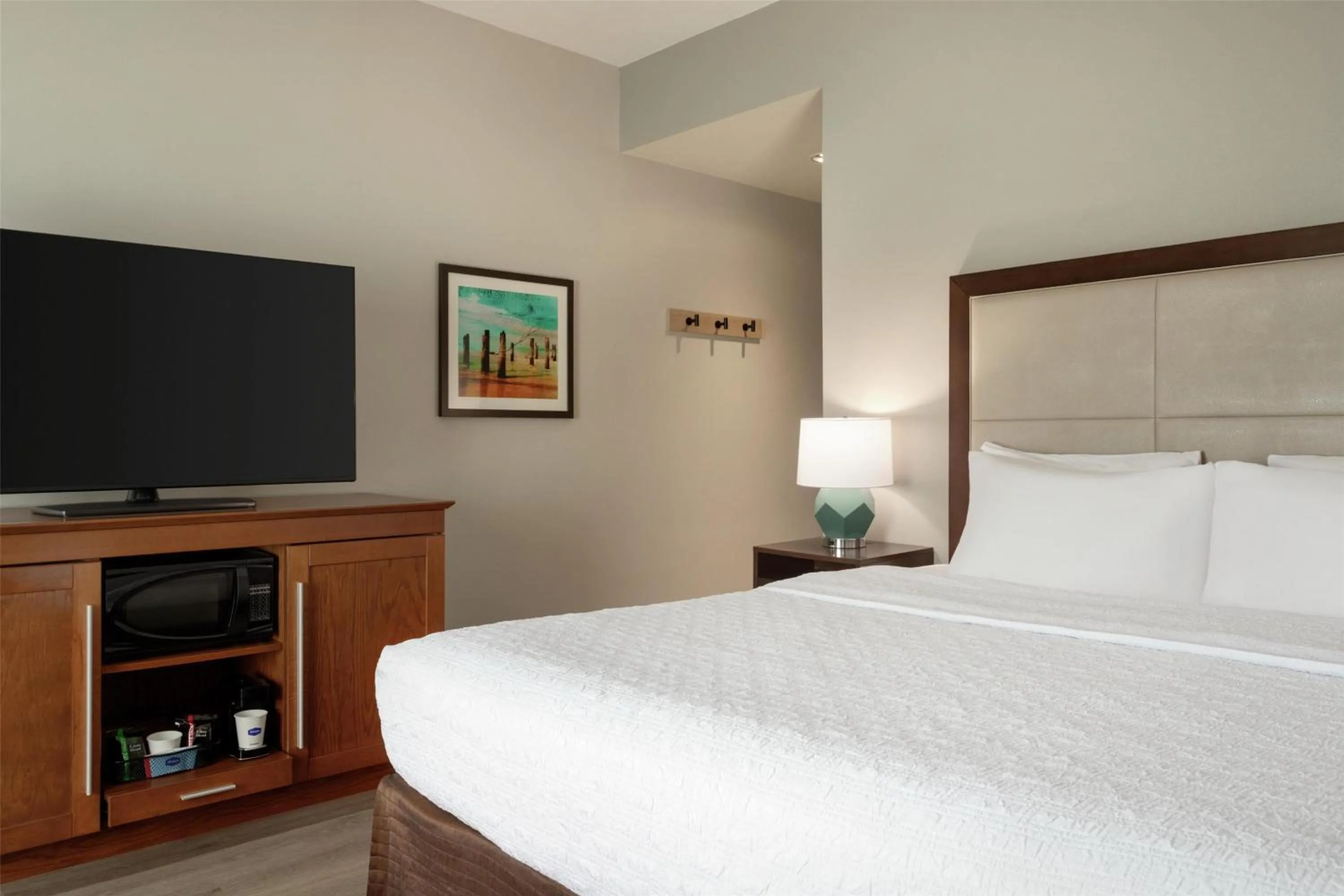 Bed in Hampton Inn & Suites by Hilton Tampa Busch Gardens Area