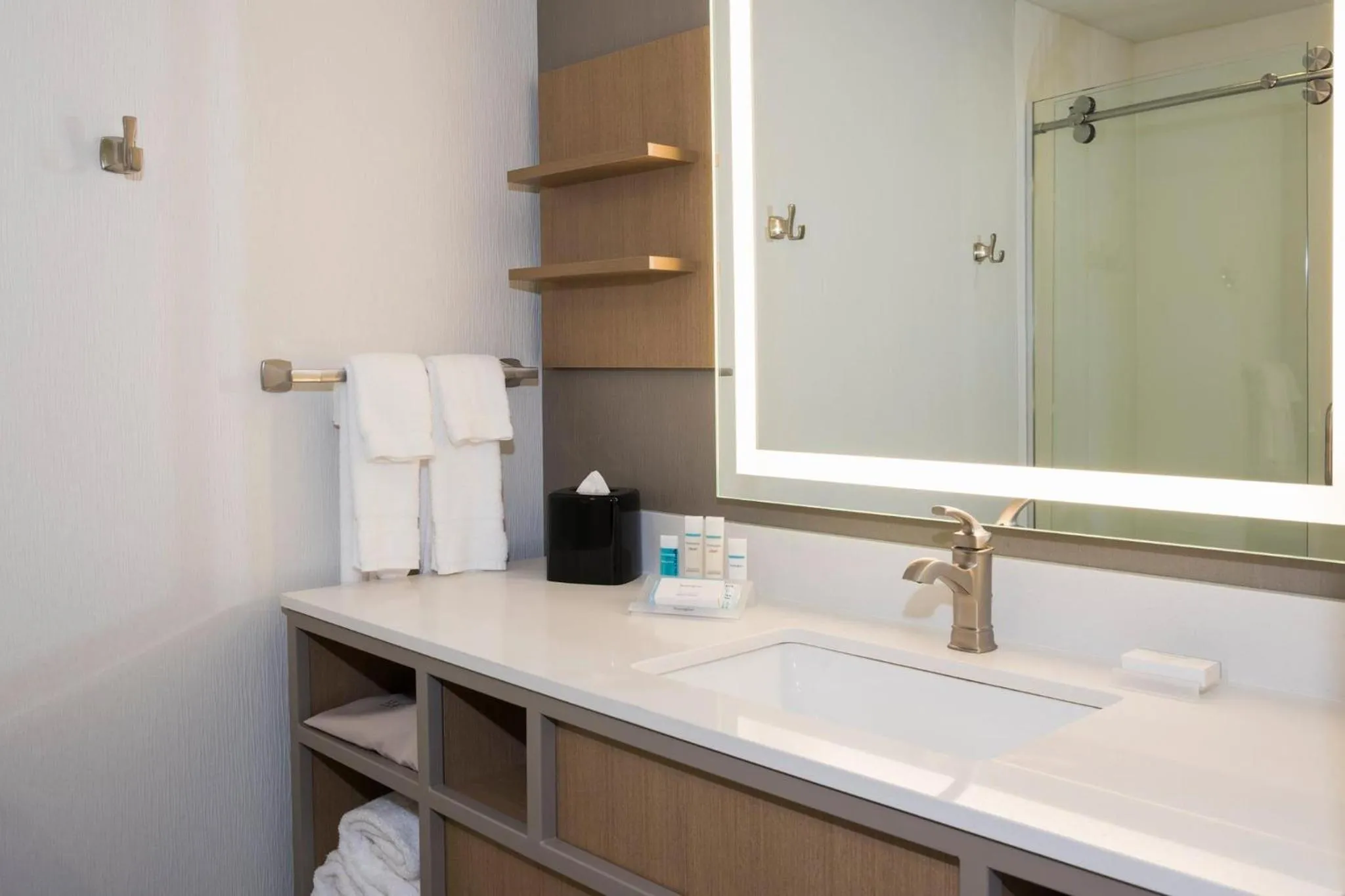 Bathroom in Hilton Garden Inn Grand Rapids East