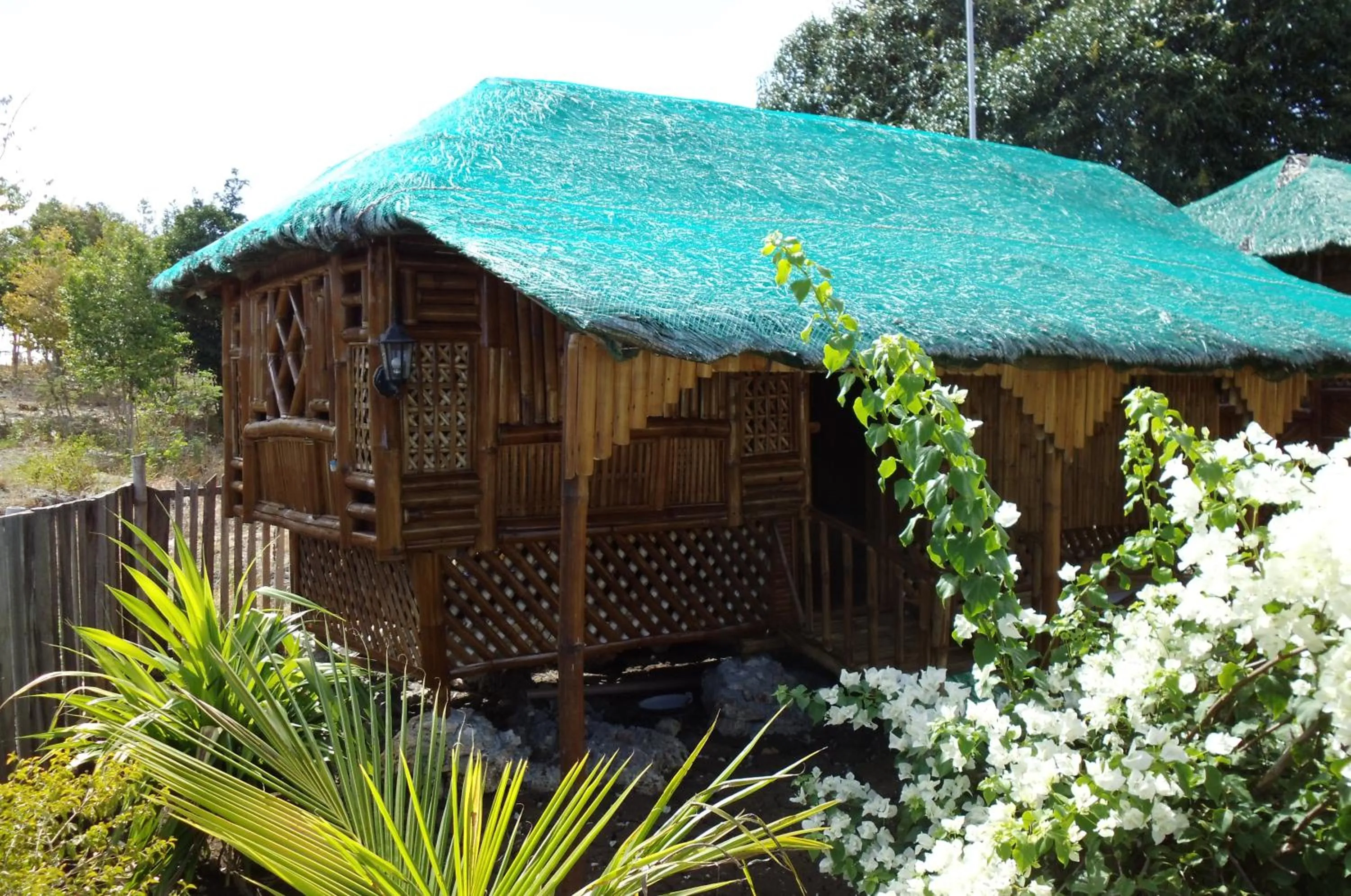 Photo of the whole room in Moalboal Bamboo Guest House