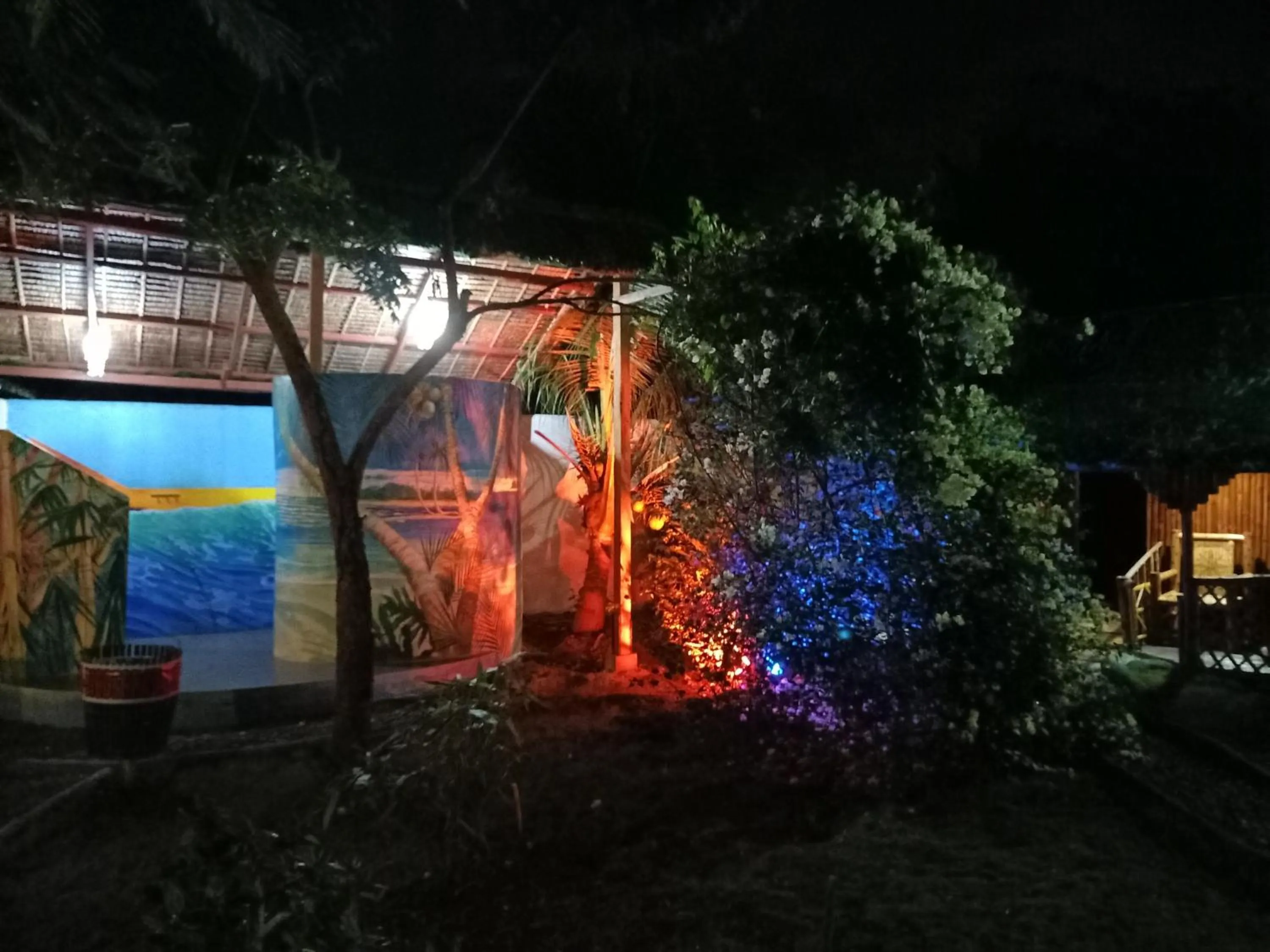 Night in Moalboal Bamboo Guest House