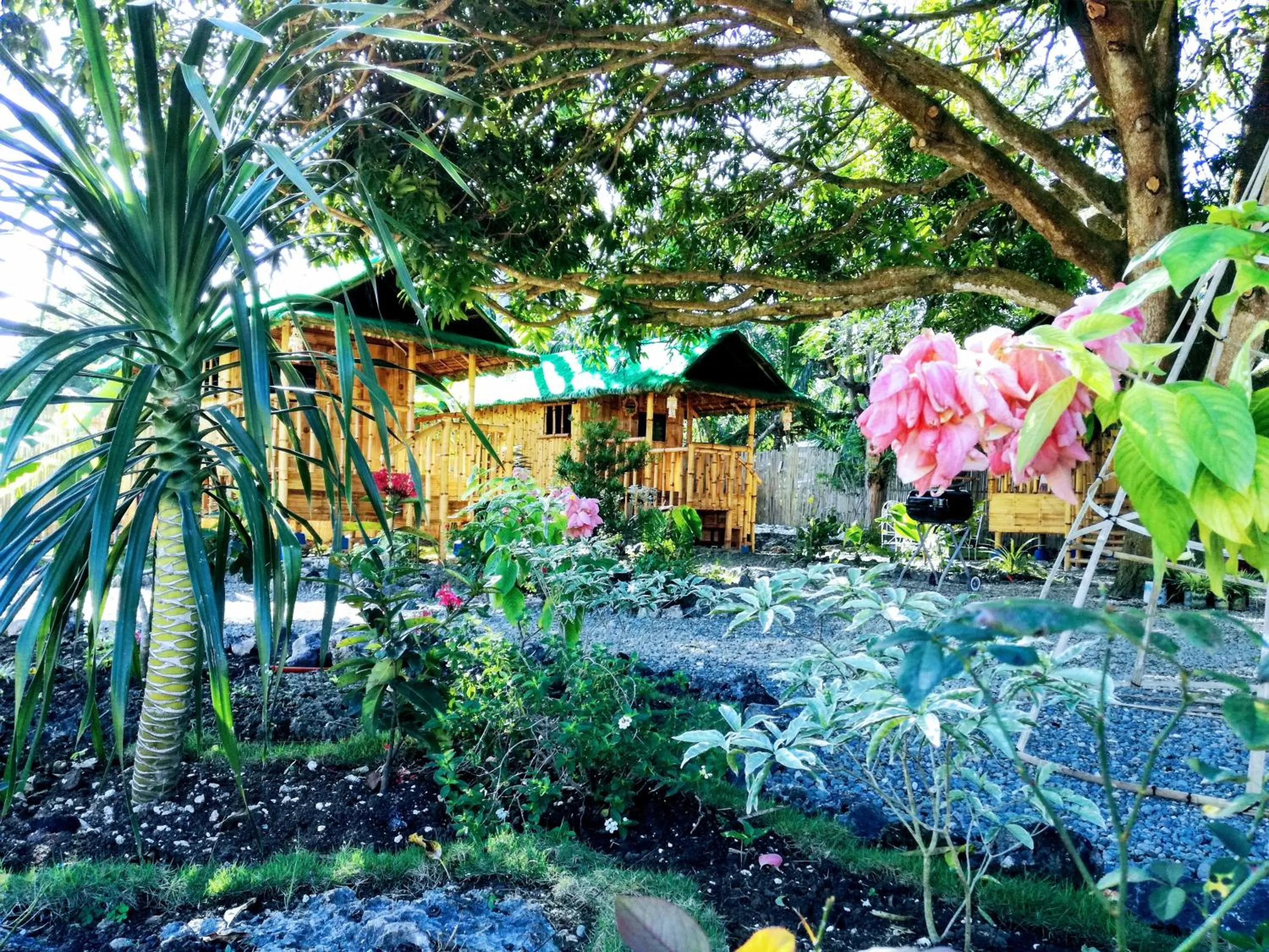 Moalboal Bamboo Guest House