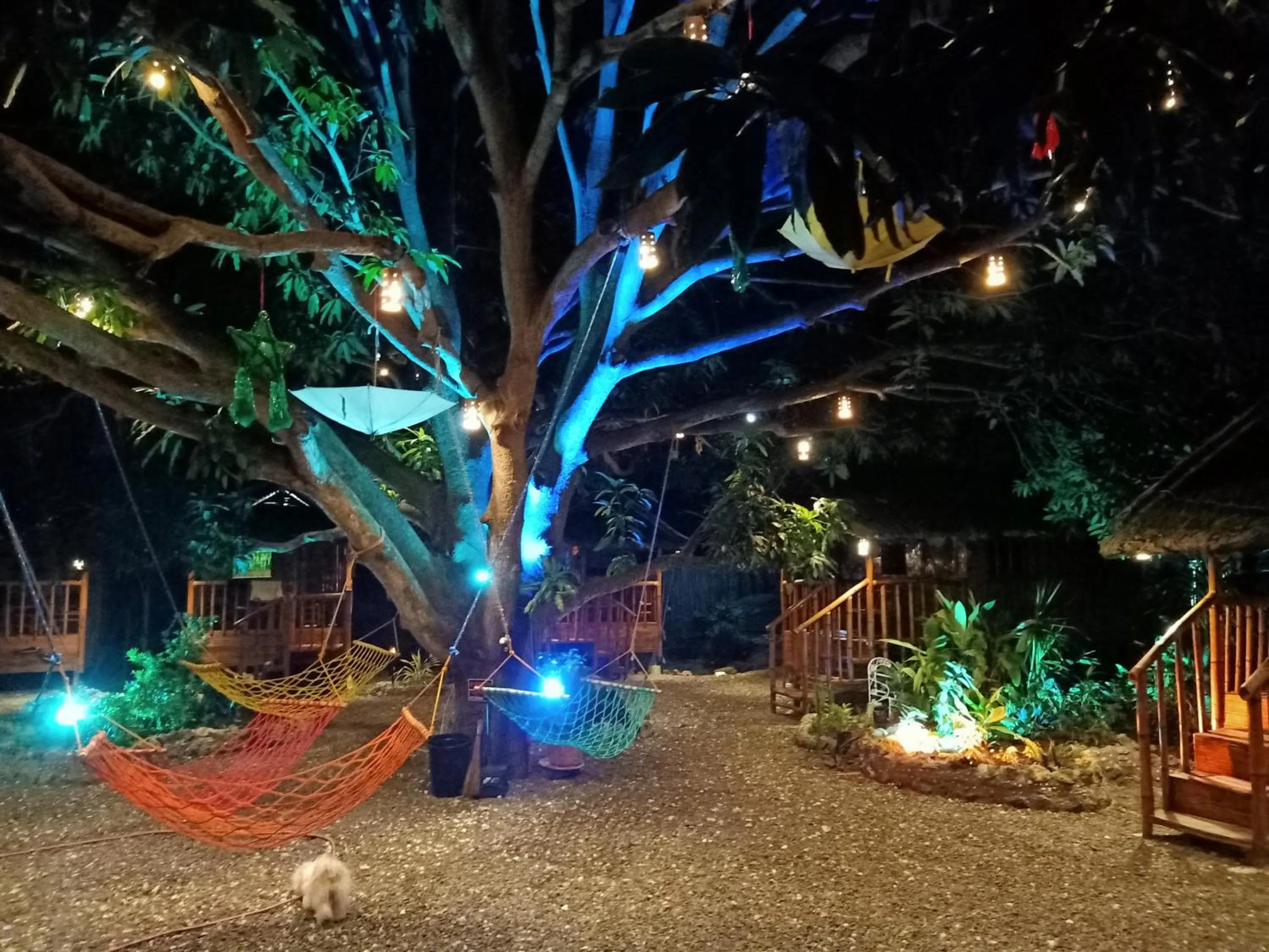 Night in Moalboal Bamboo Guest House