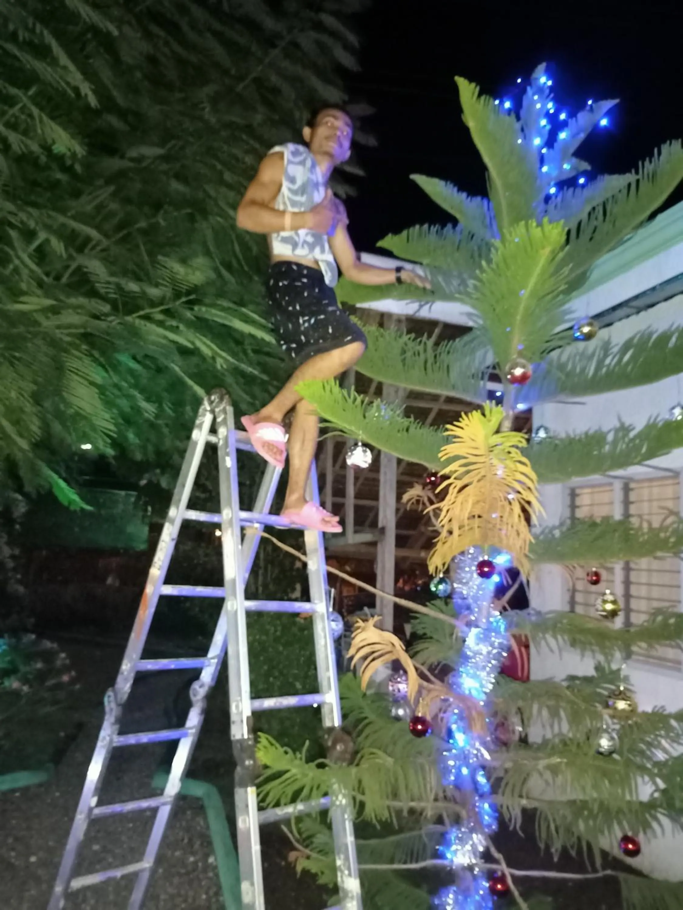 Moalboal Bamboo Guest House