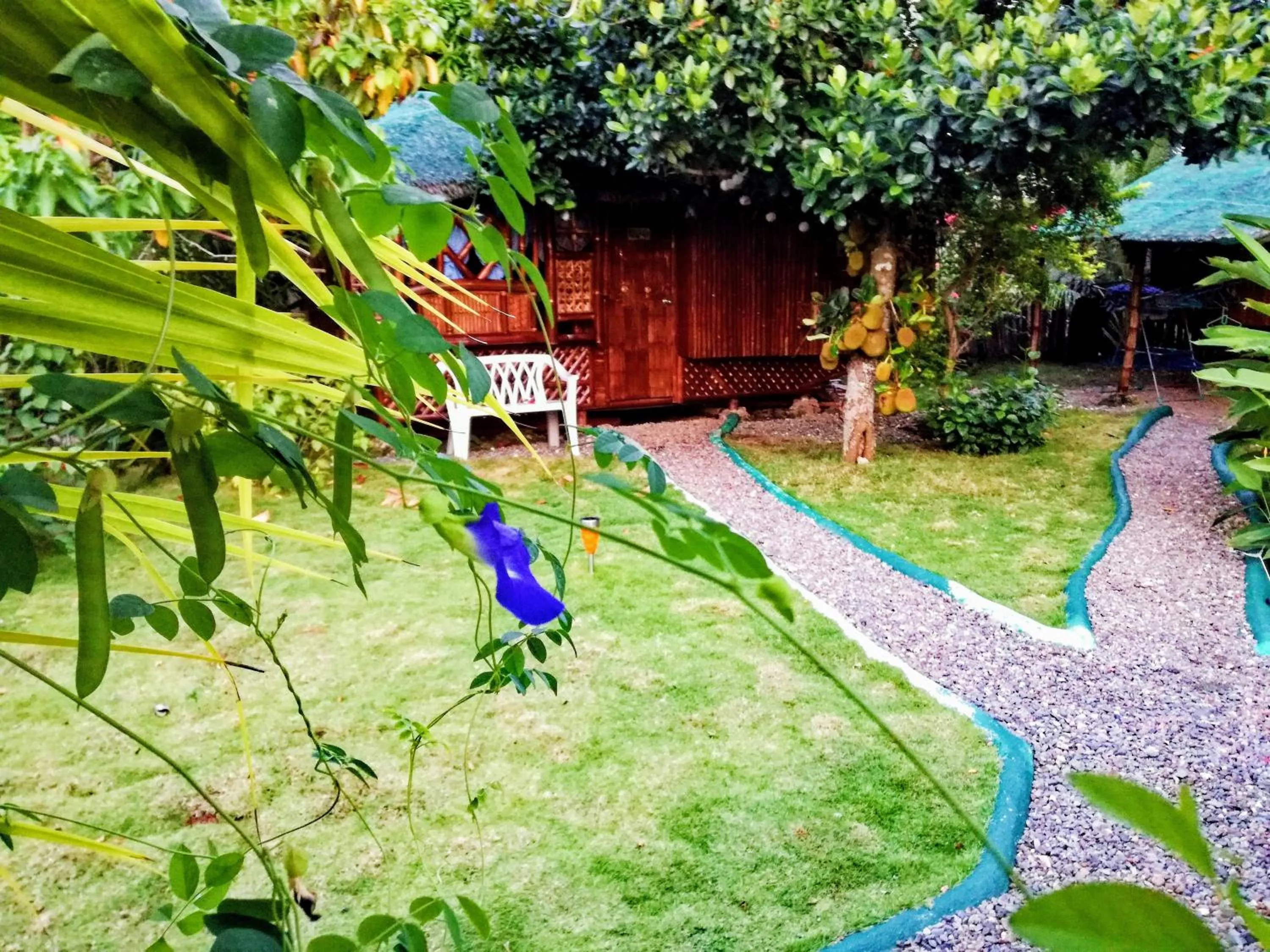 Moalboal Bamboo Guest House