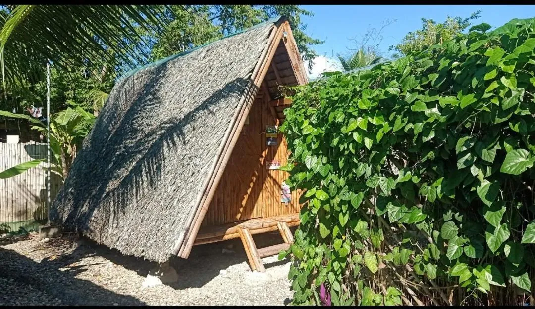 Property building in Moalboal Bamboo Guest House