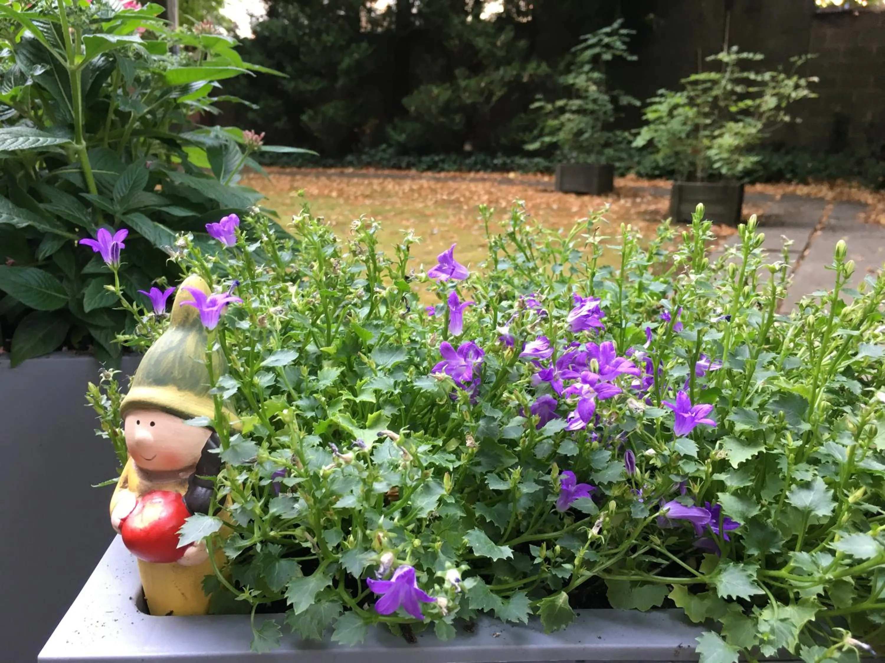 Decorative detail in First Euroflat Hotel