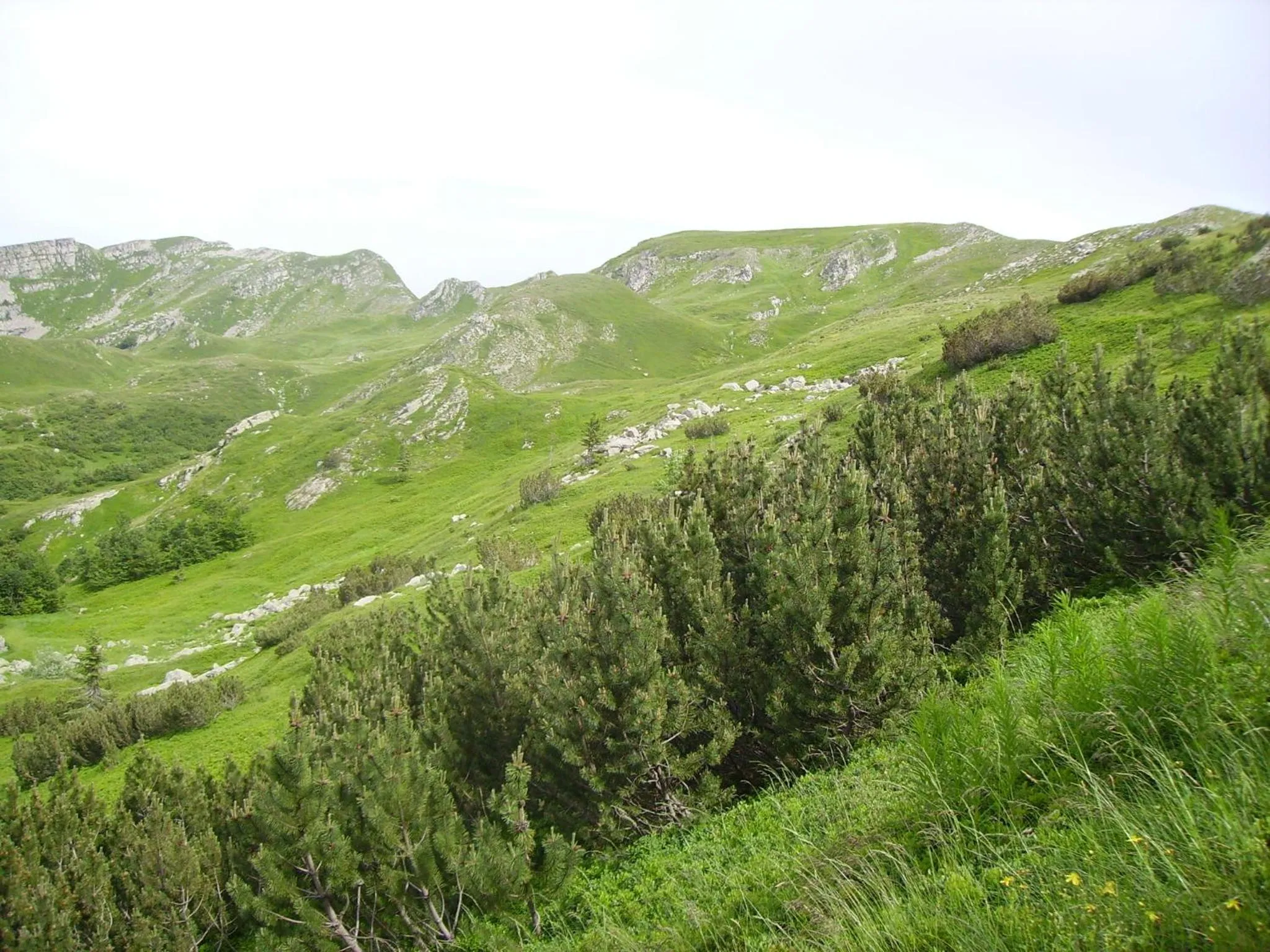 Other in Albergo Sichi