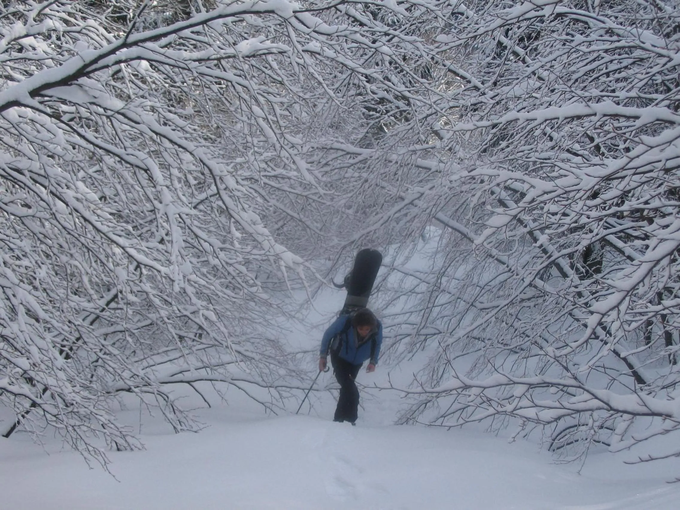 Other in Albergo Sichi