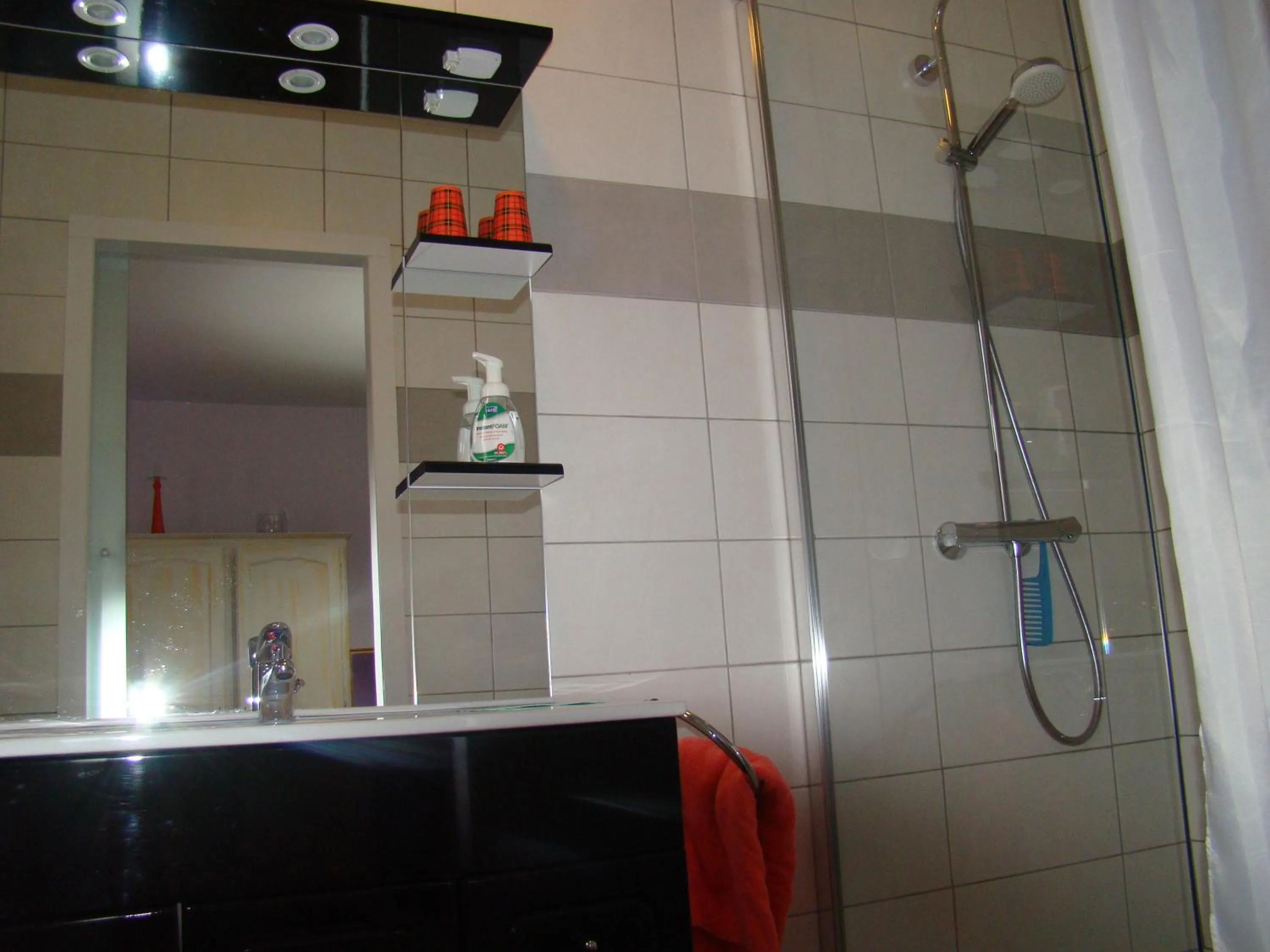 Shower in Annexe le Champenois