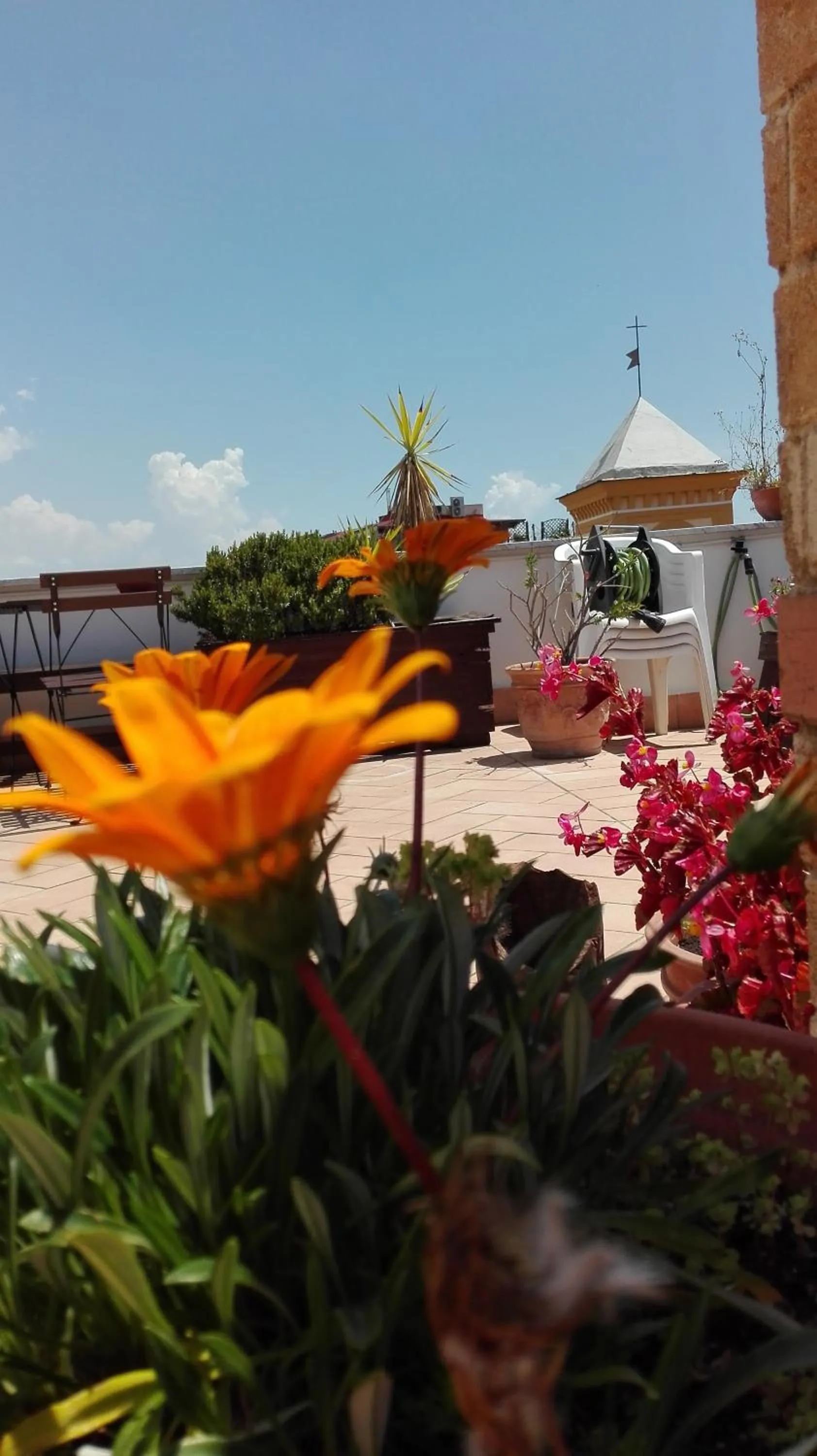 Patio in Il Portoncino