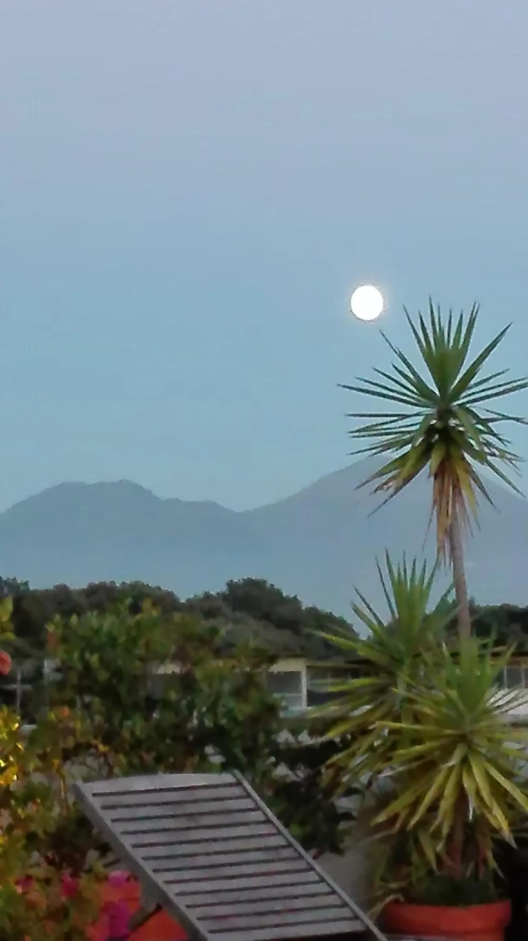 Bird's eye view in Il Portoncino
