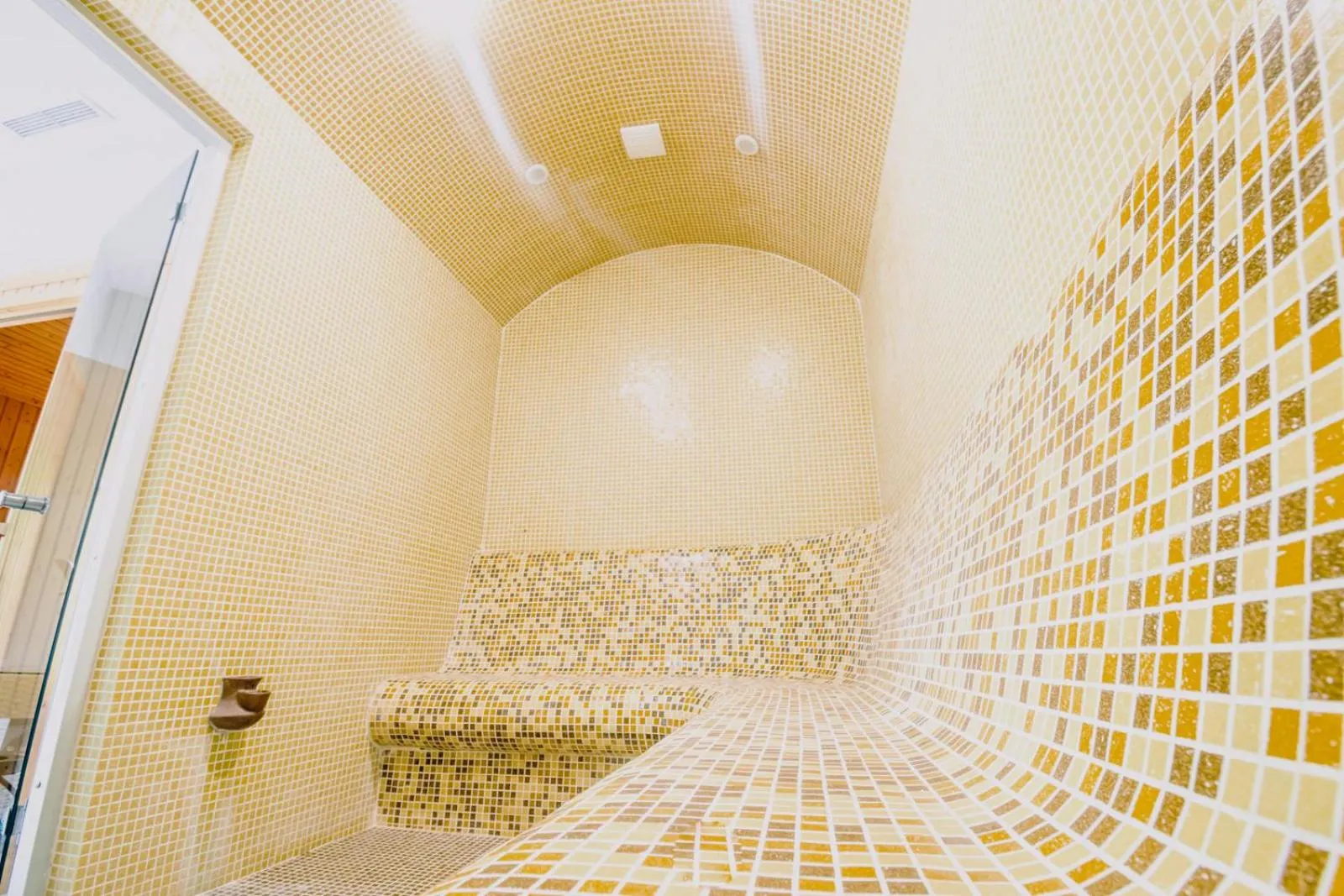 Steam room in Hotel Ostrova