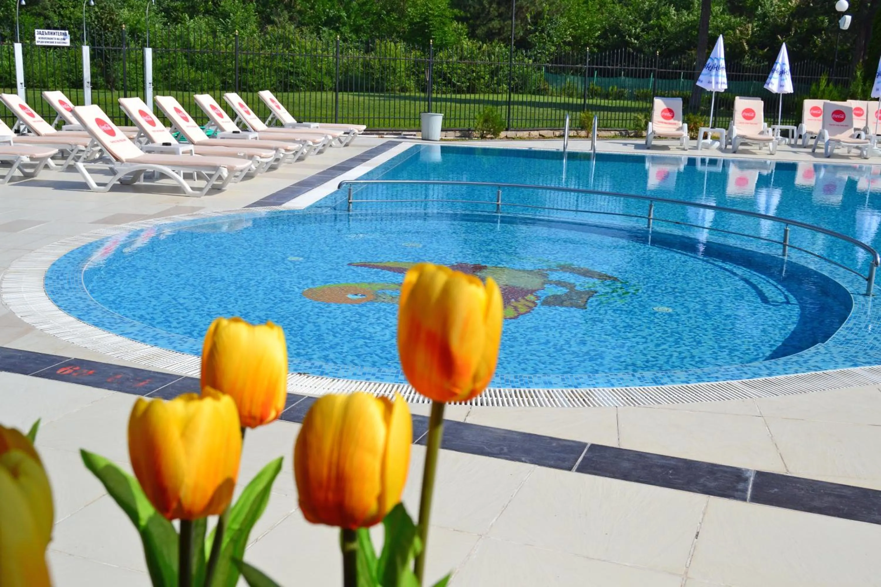 Pool view in Hotel Ostrova