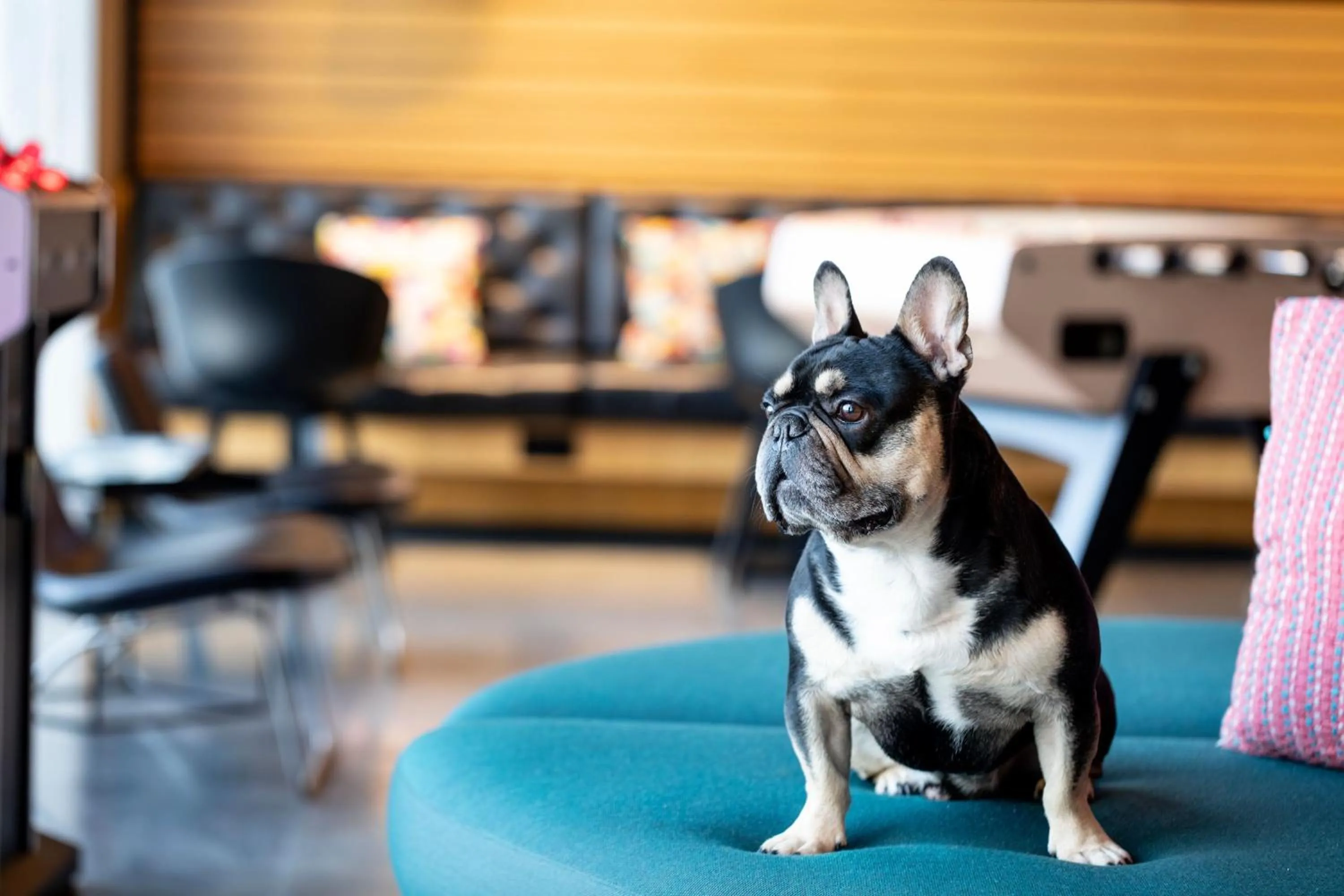 View (from property/room) in Moxy Aberdeen Airport