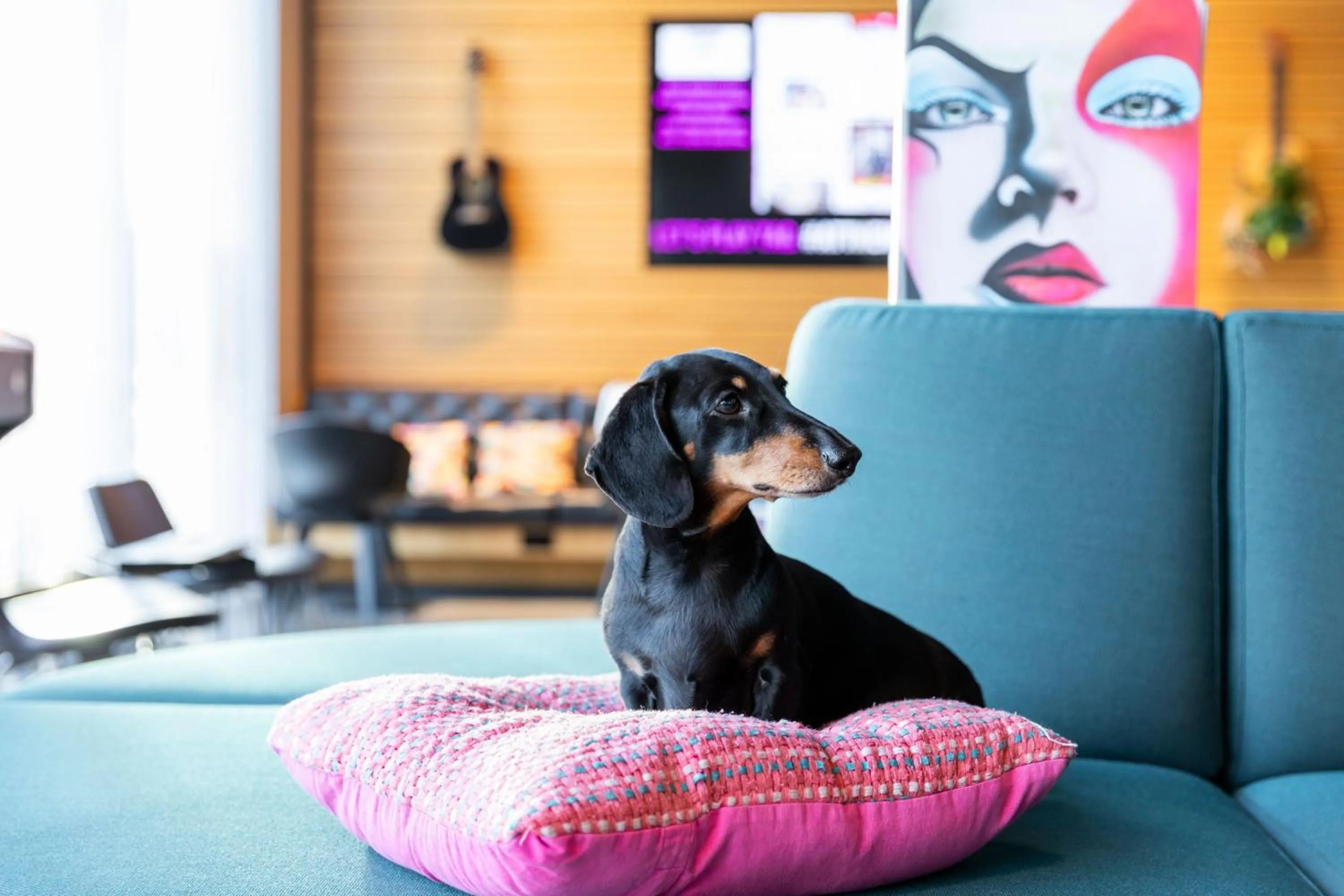 Other in Moxy Aberdeen Airport