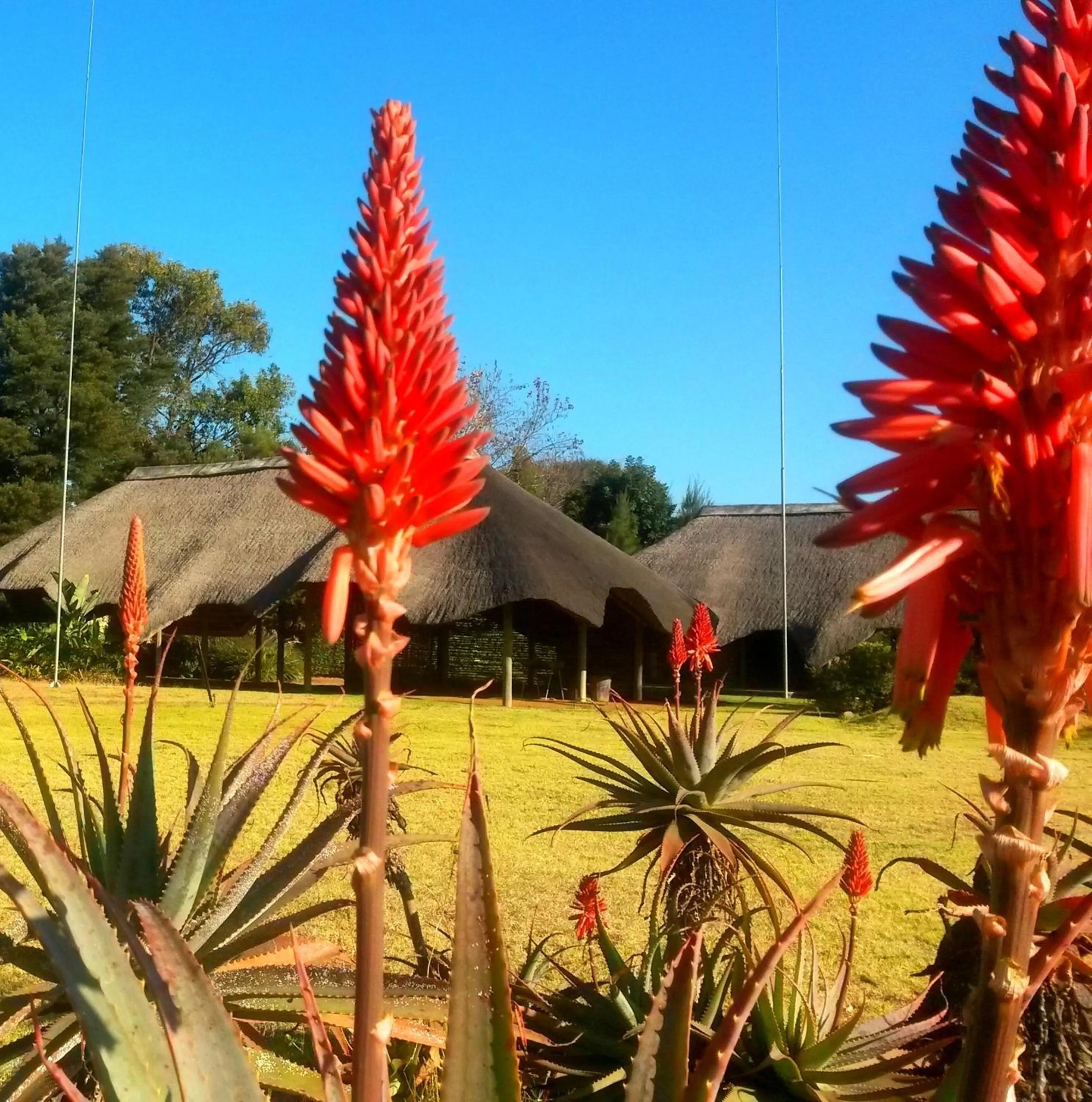 African Flair Country Lodge