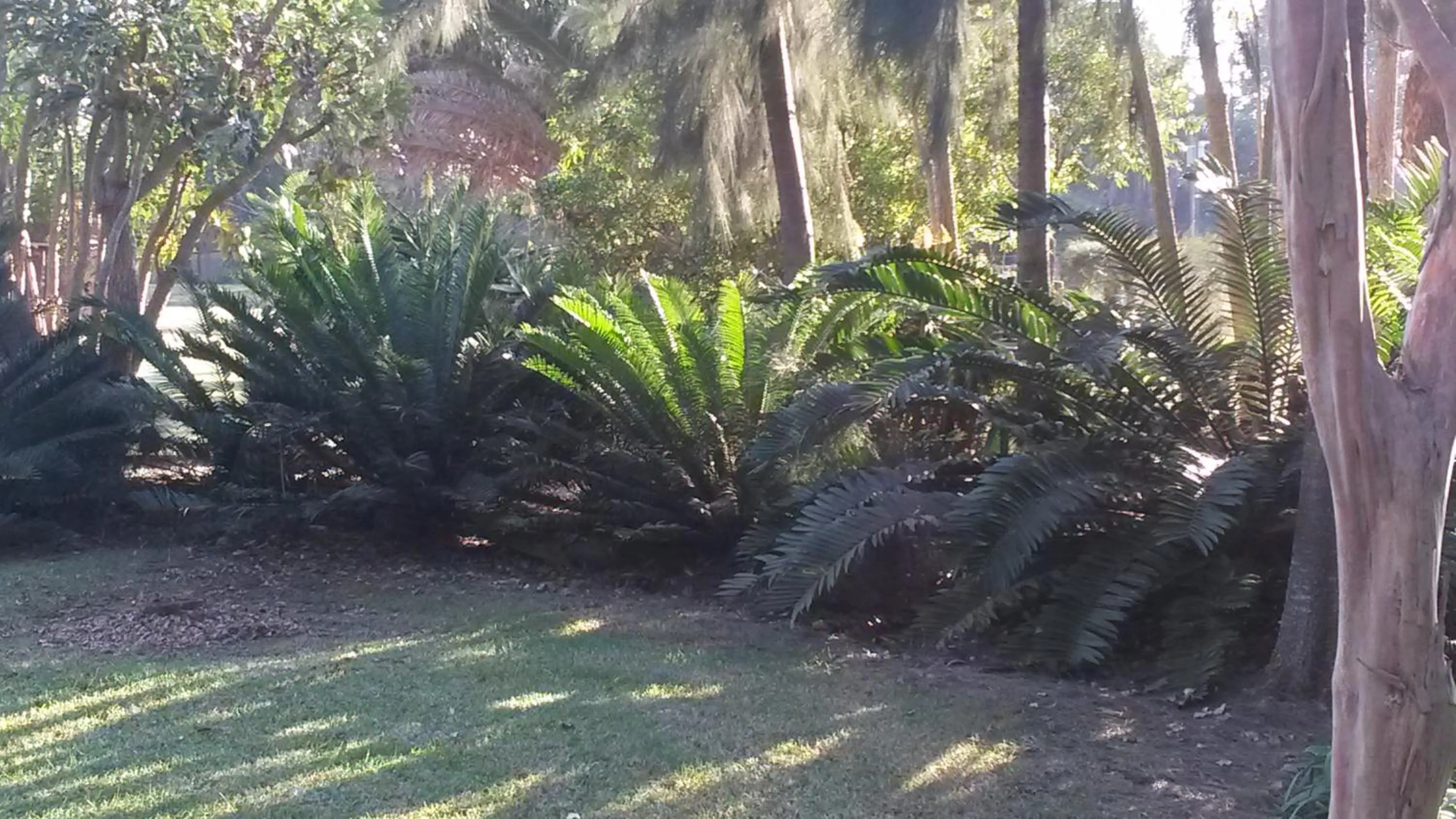 African Flair Country Lodge