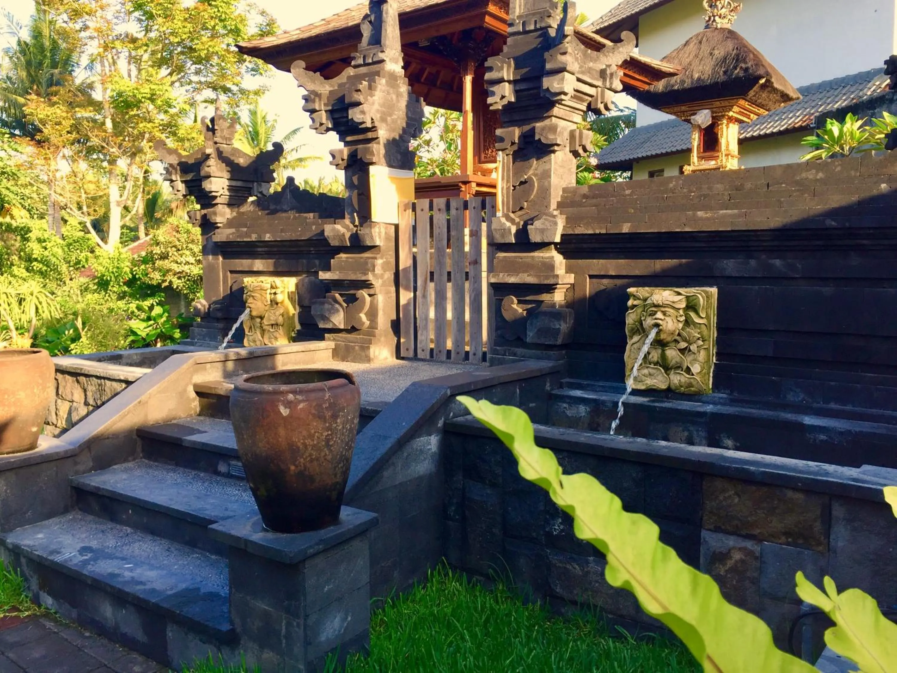 Garden in Tirta Arum