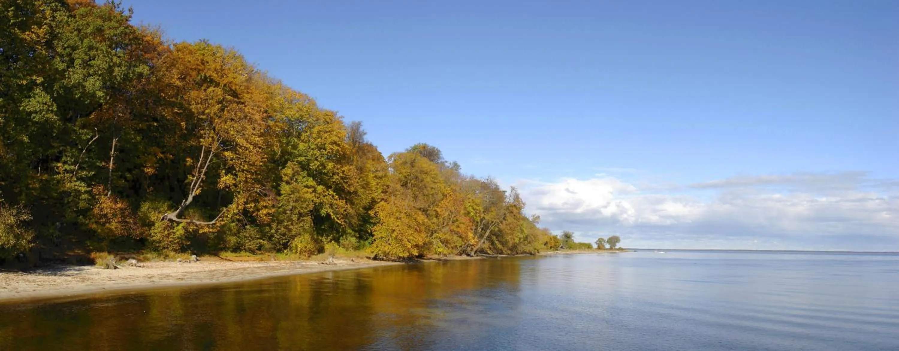 Beach in Zamek Rzucewo
