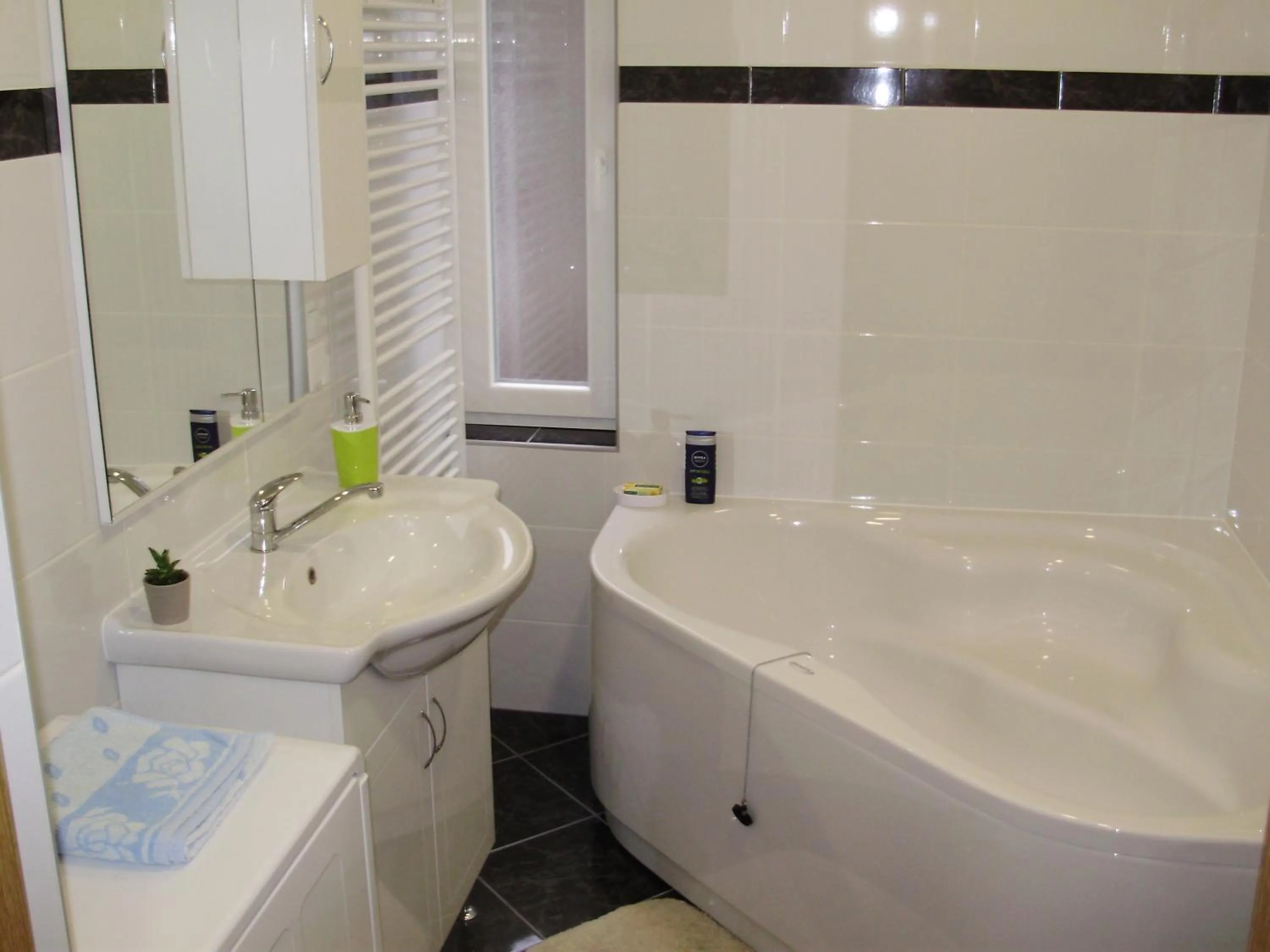 Bathroom in Apartment Maximilian-free parking!!!