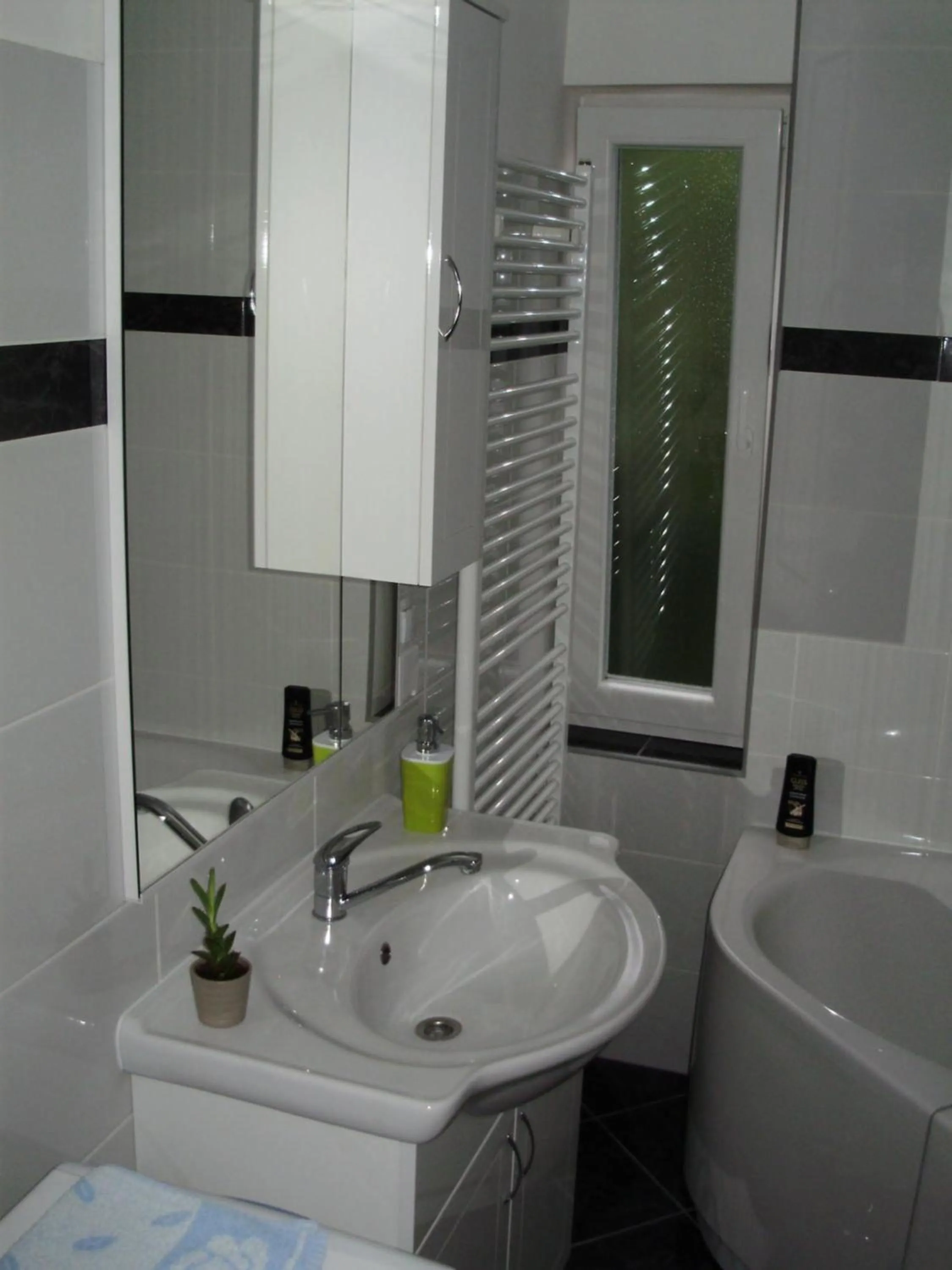 Bathroom in Apartment Maximilian-free parking!!!