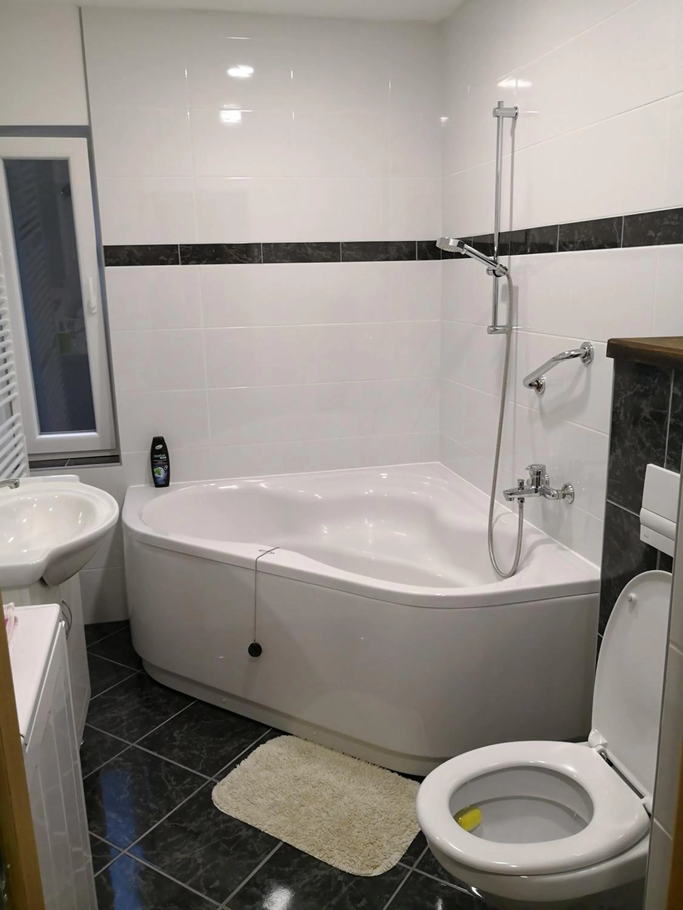 Bathroom in Apartment Maximilian-free parking!!!