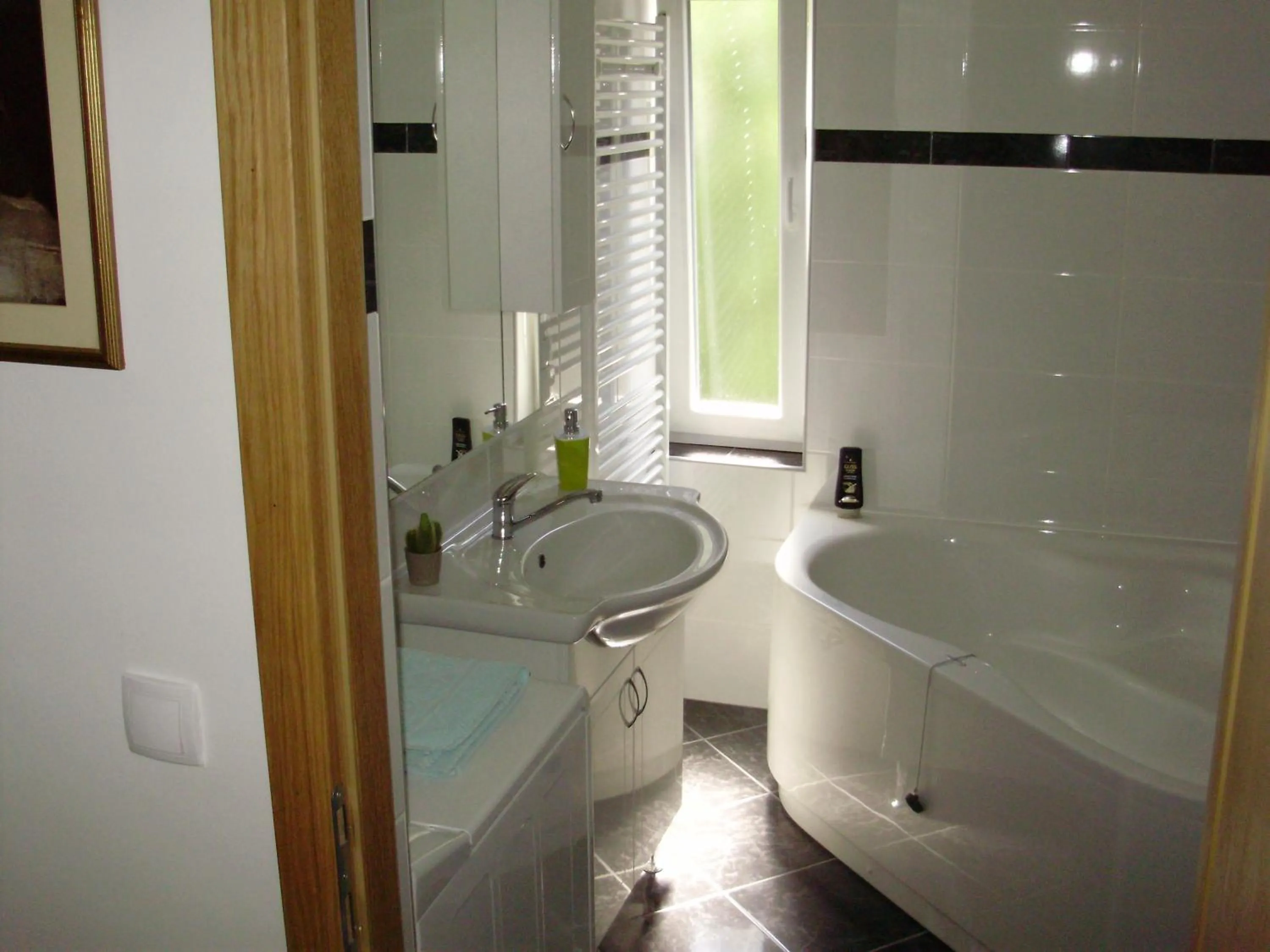 Bathroom in Apartment Maximilian-free parking!!!
