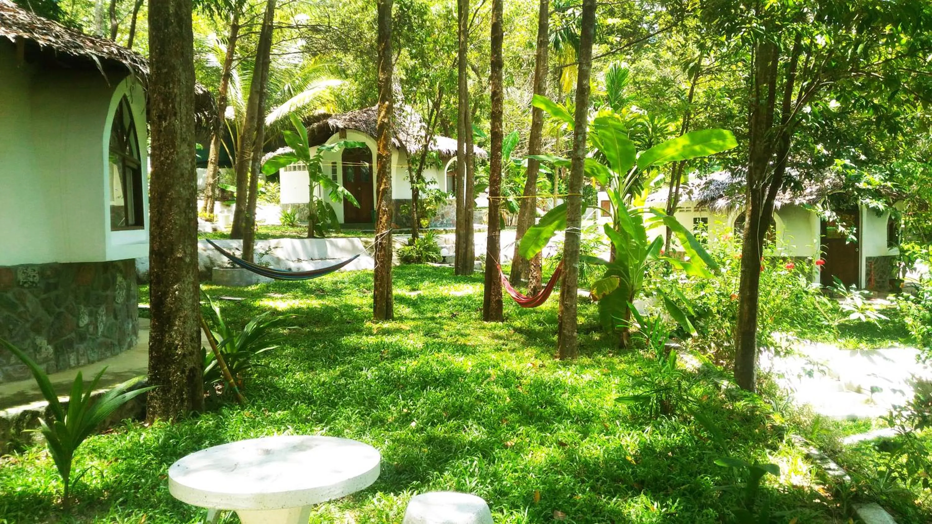 View (from property/room) in Flower Power Farm Village