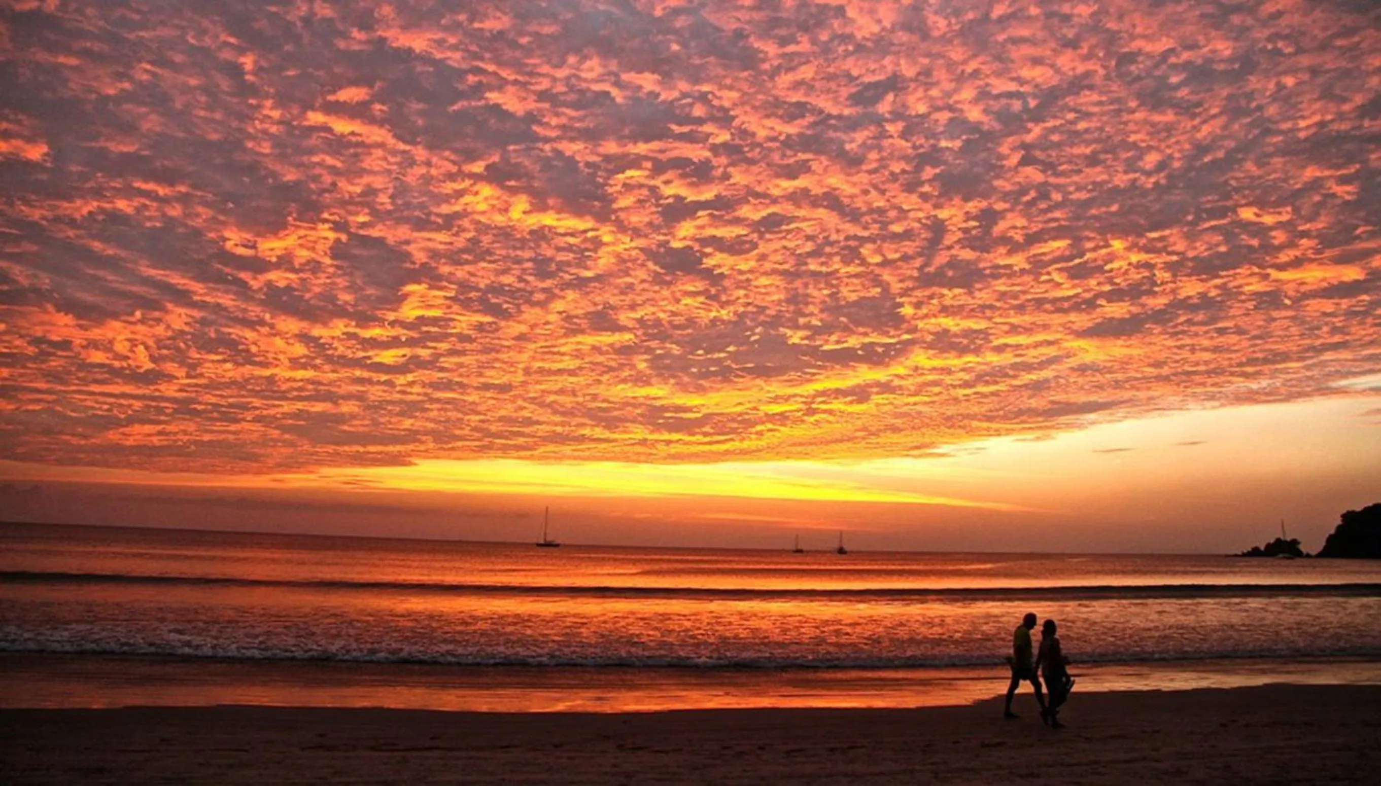 Sea view in Flower Power Farm Village